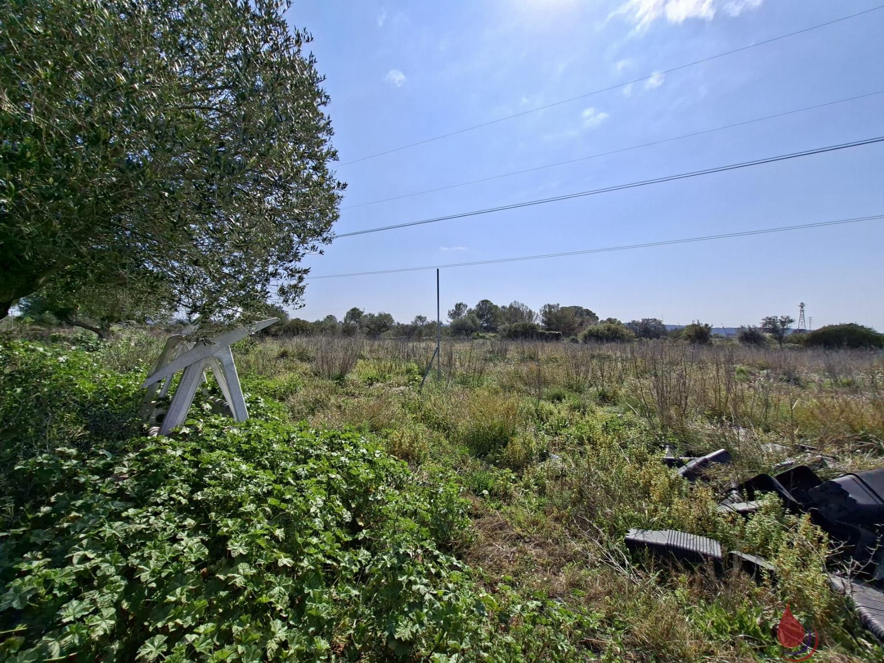 Venta de terreno en Santa Oliva
