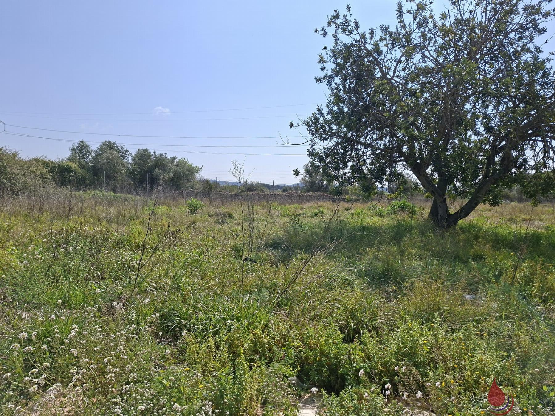 Venta de terreno en Santa Oliva