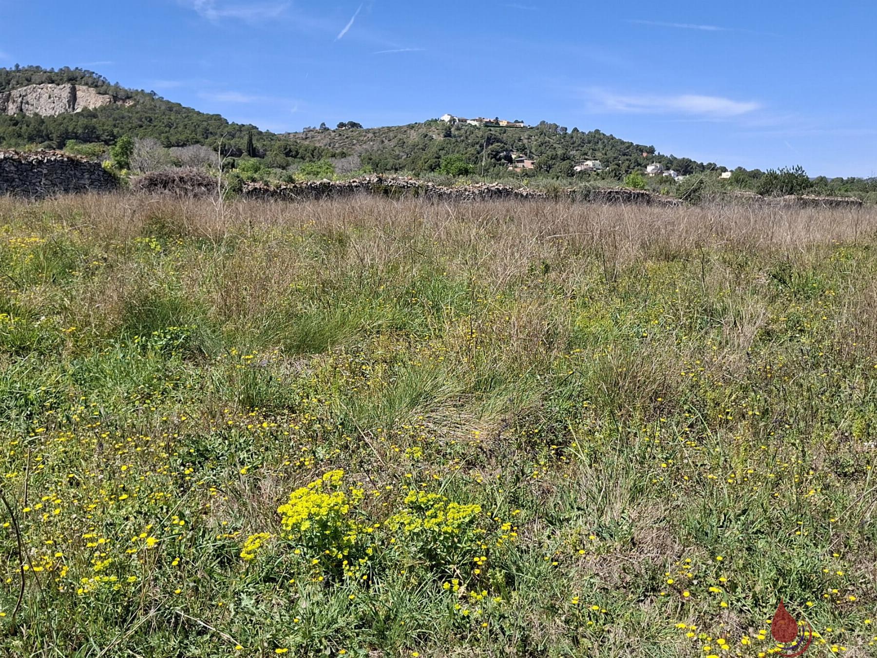 Venta de terreno en Albinyana