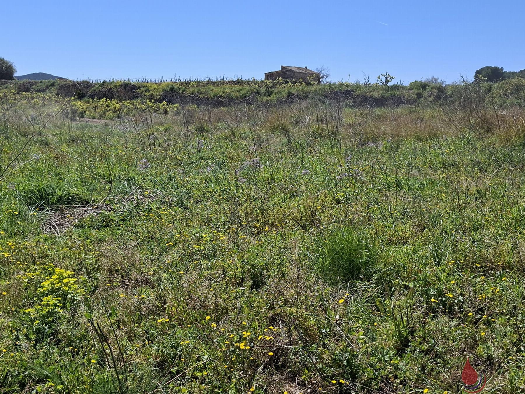 Venta de terreno en Albinyana