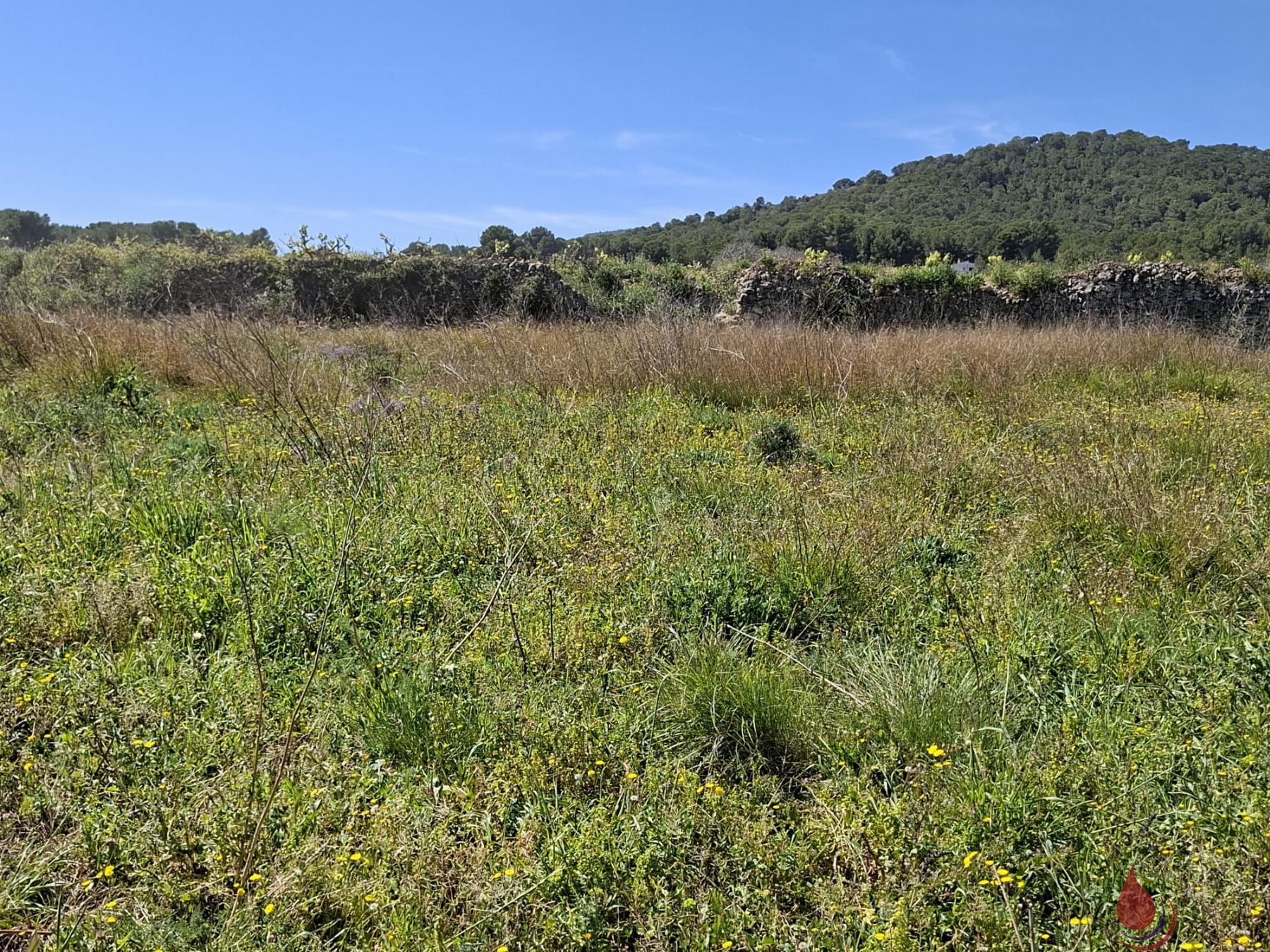 Venta de terreno en Albinyana