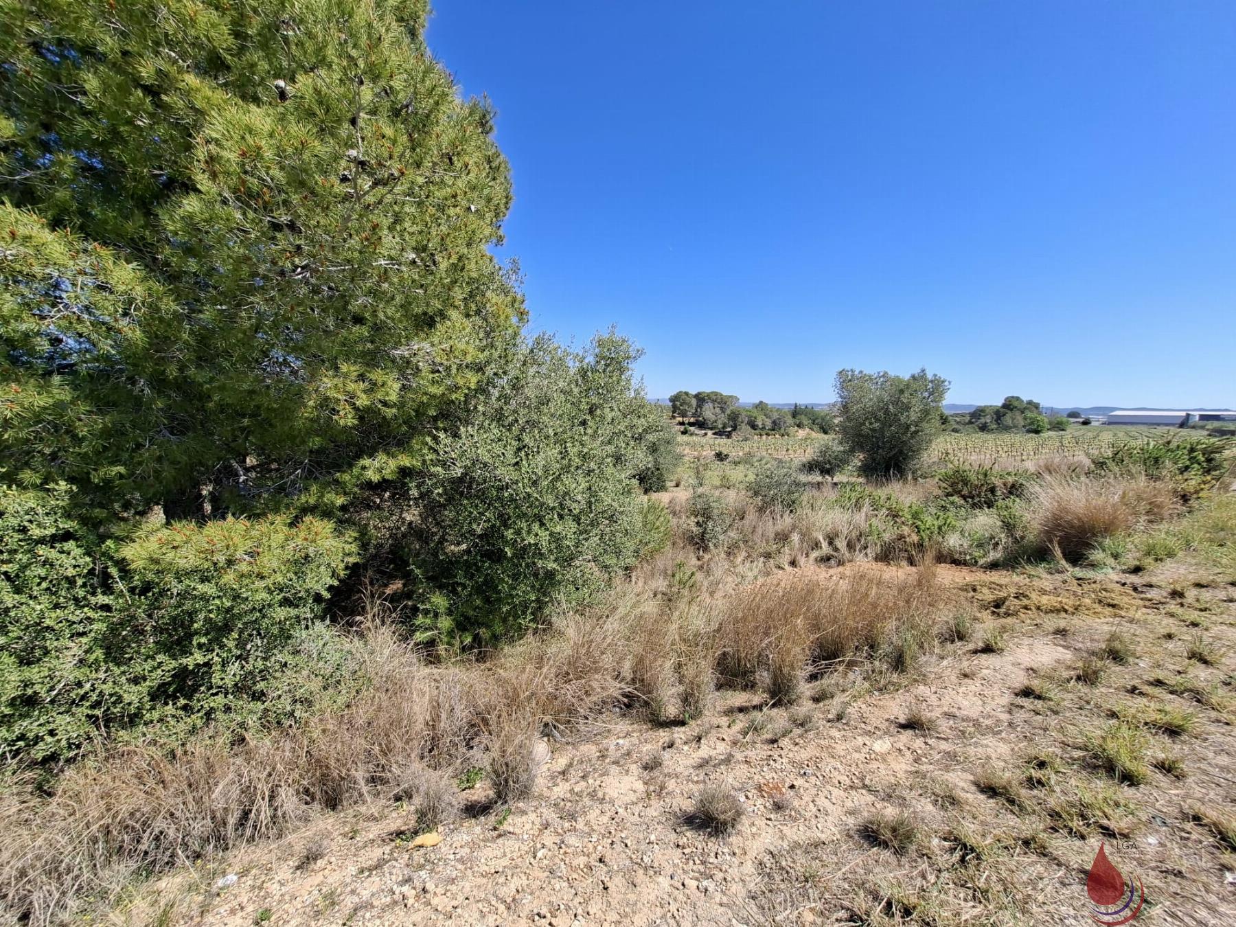 Venta de terreno en Albinyana