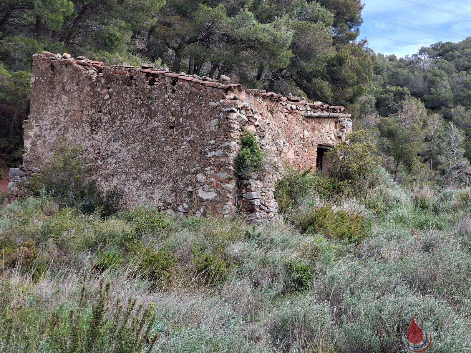 Venta de terreno en Cabra del Camp
