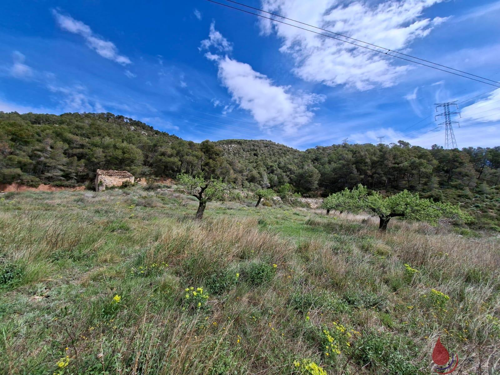 Venta de terreno en Cabra del Camp