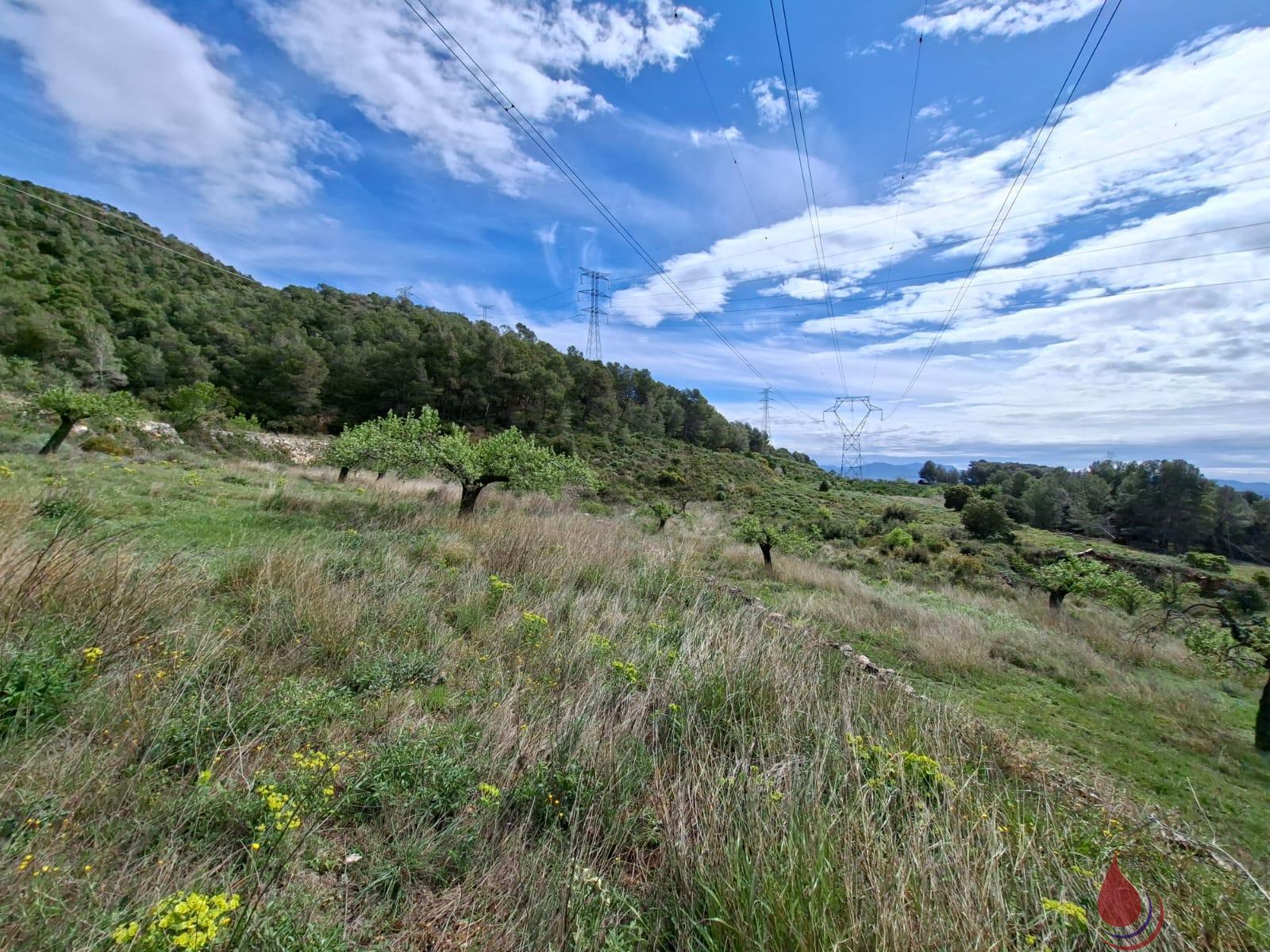 Venta de terreno en Cabra del Camp
