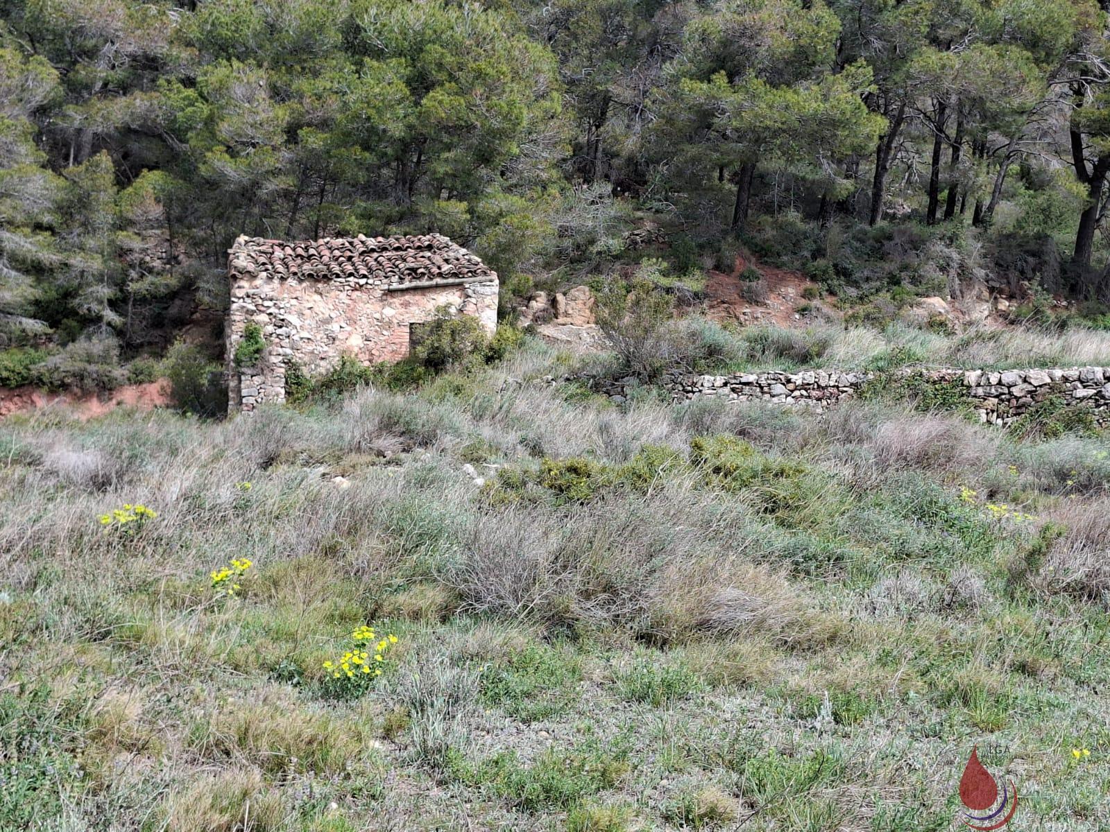 Venta de terreno en Cabra del Camp