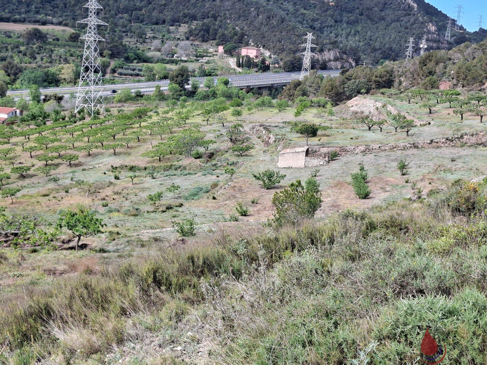 Venta de terreno en Cabra del Camp