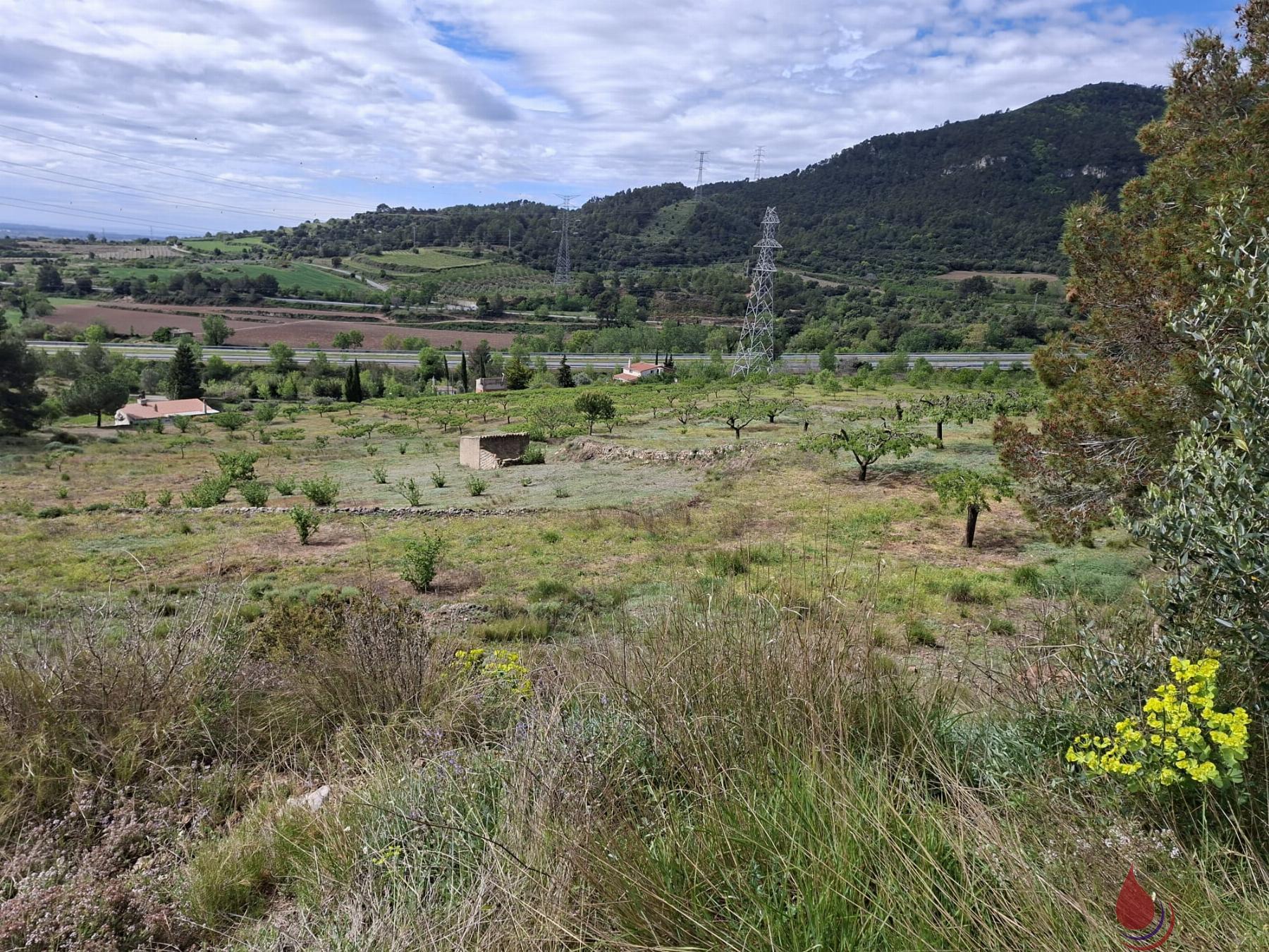 Venta de terreno en Cabra del Camp