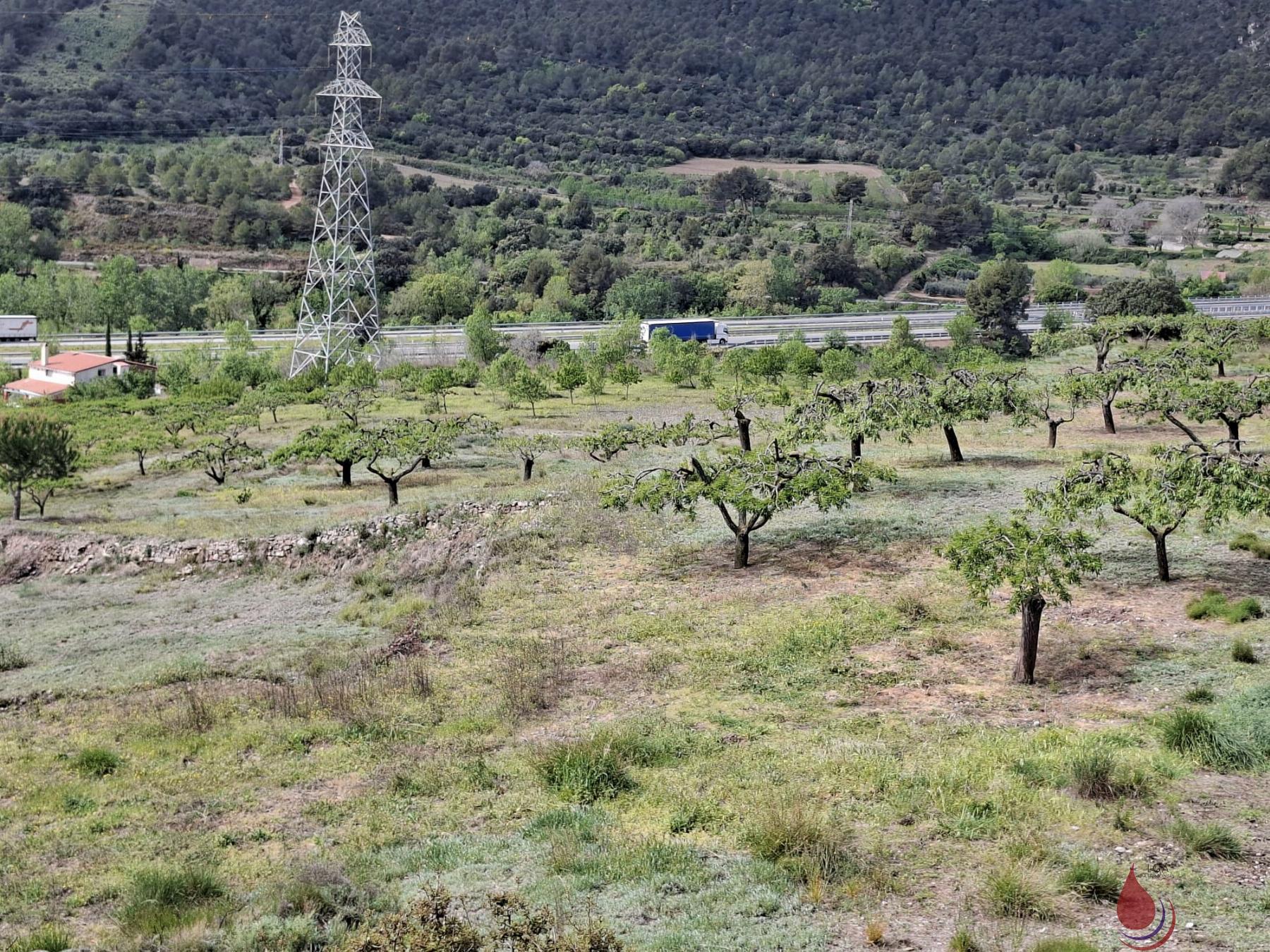 Venta de terreno en Cabra del Camp