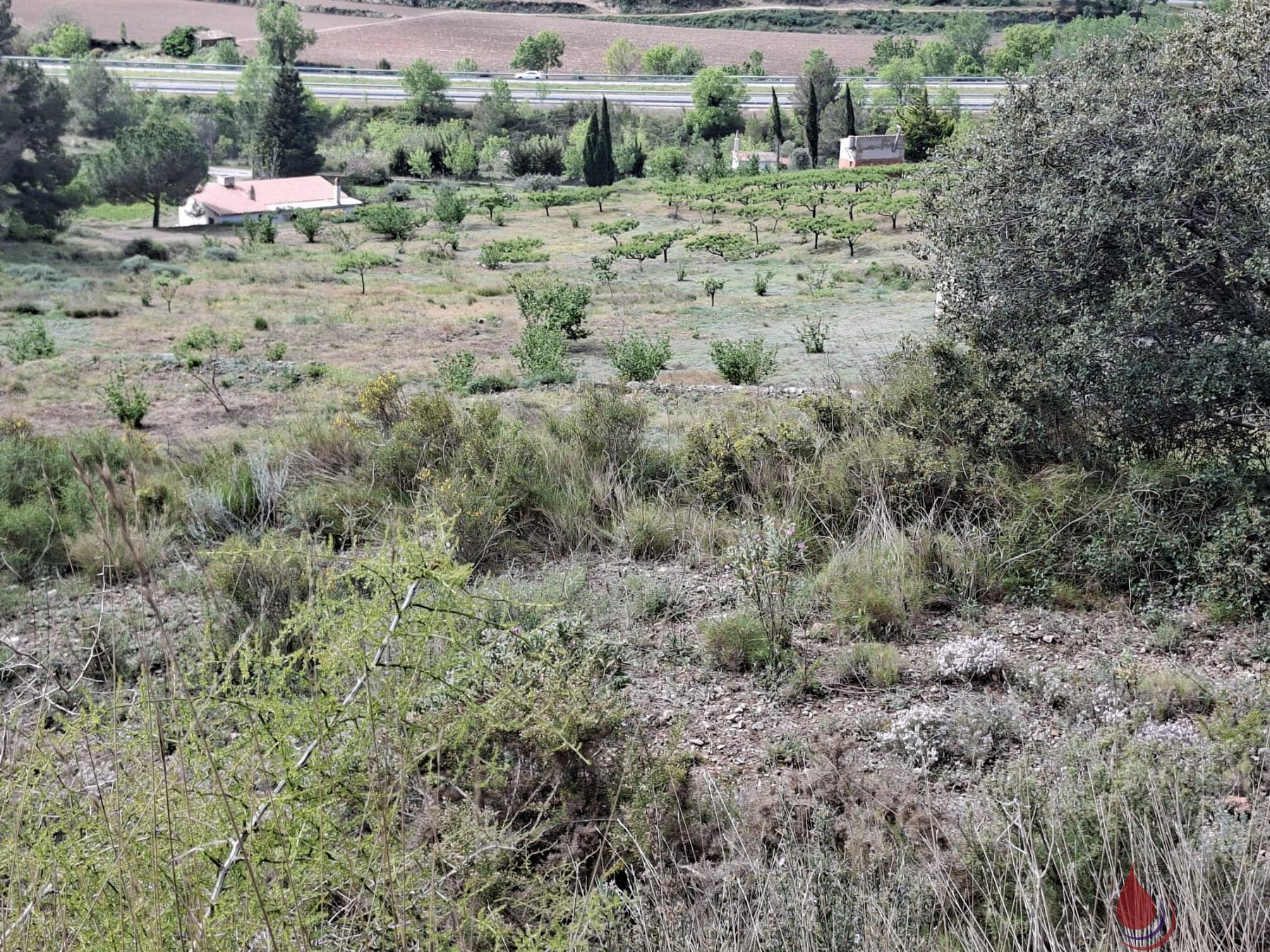 Venta de terreno en Cabra del Camp