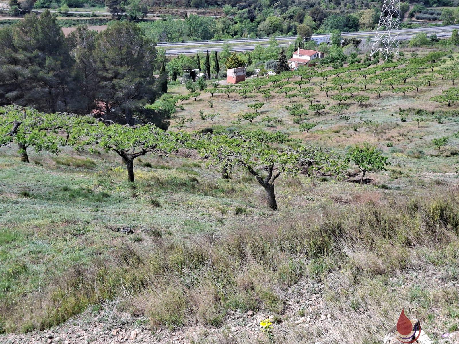 Venta de terreno en Cabra del Camp
