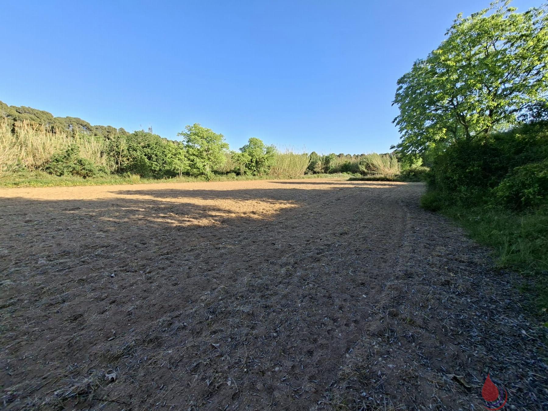 Venta de terreno en Sant Jaume dels Domenys