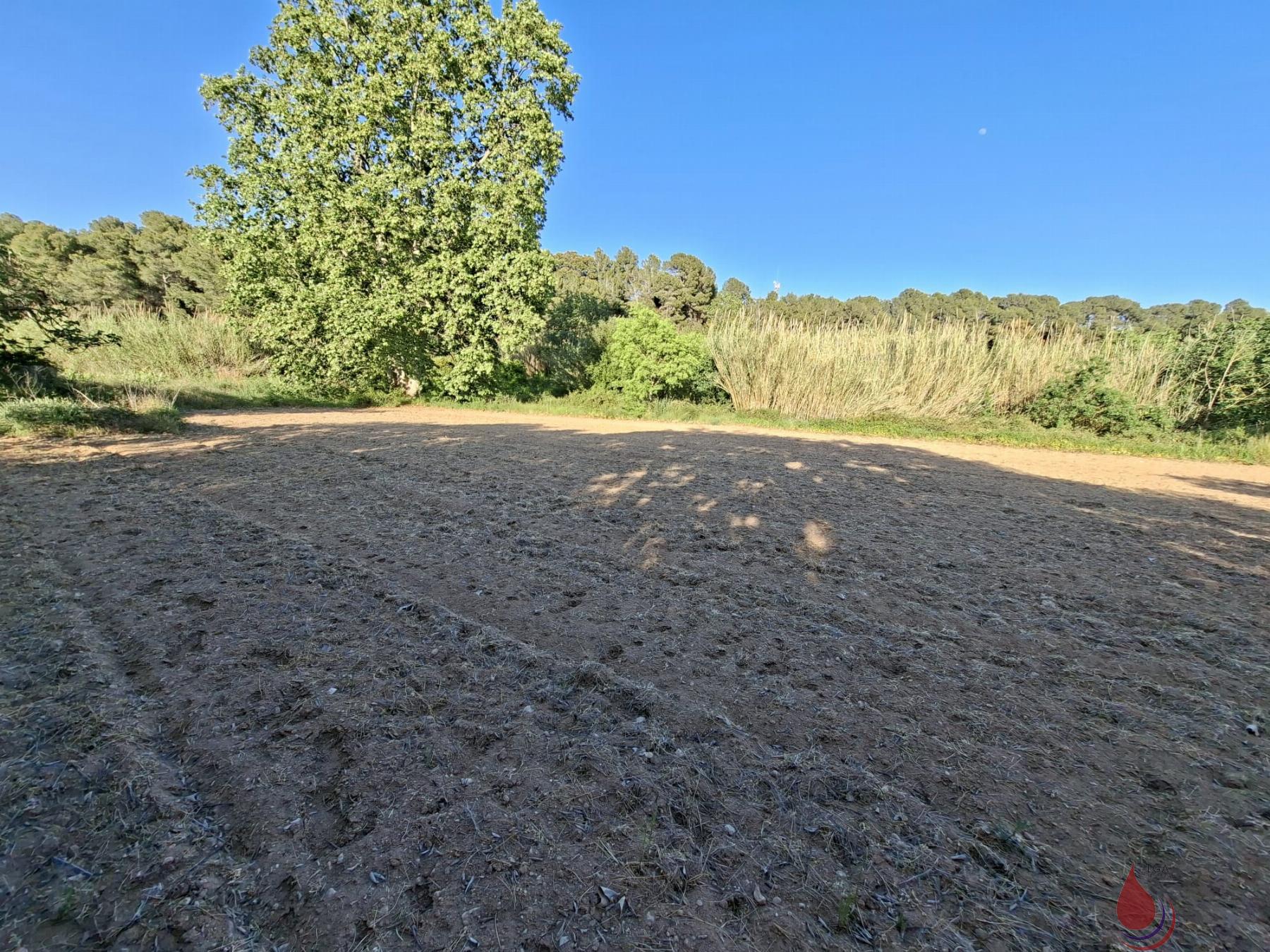 Venta de terreno en Sant Jaume dels Domenys