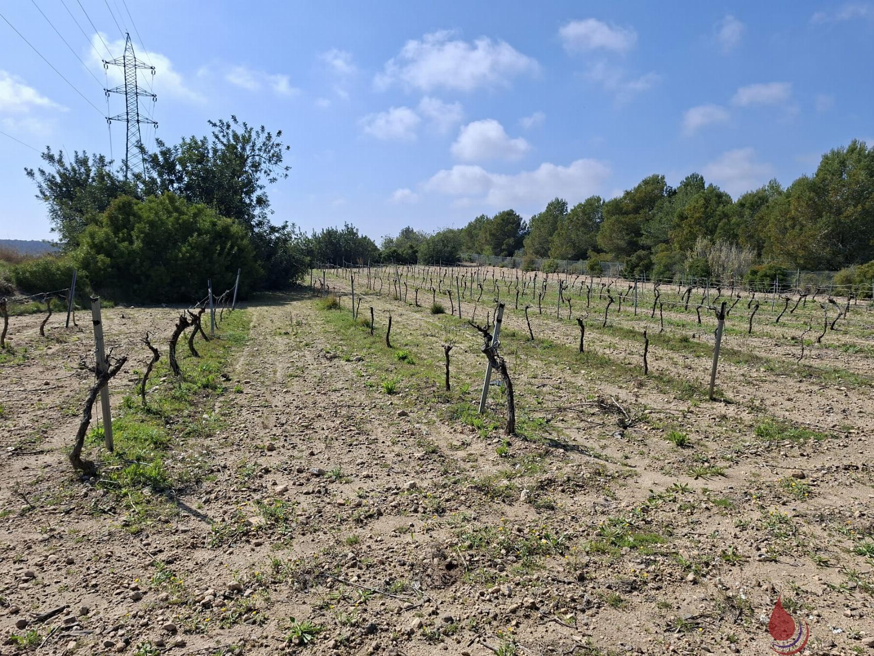Venta de terreno en El Vendrell
