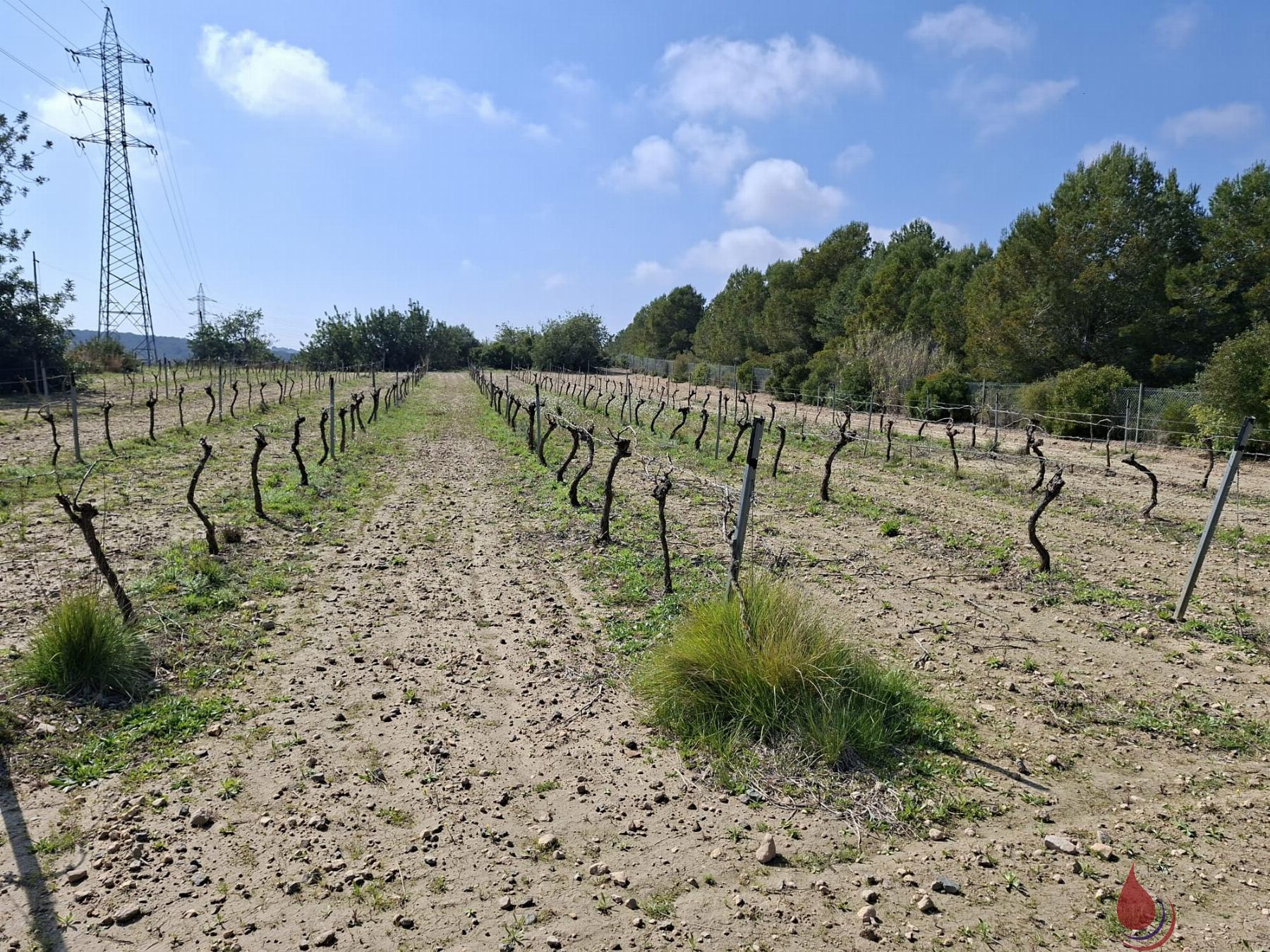 Venta de terreno en El Vendrell