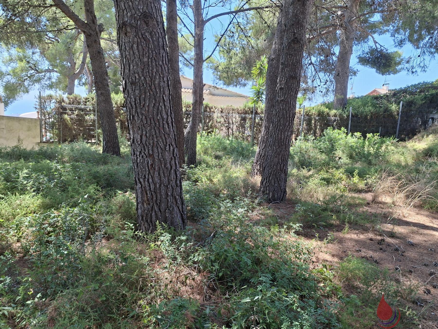 Venta de terreno en Coma - Ruga