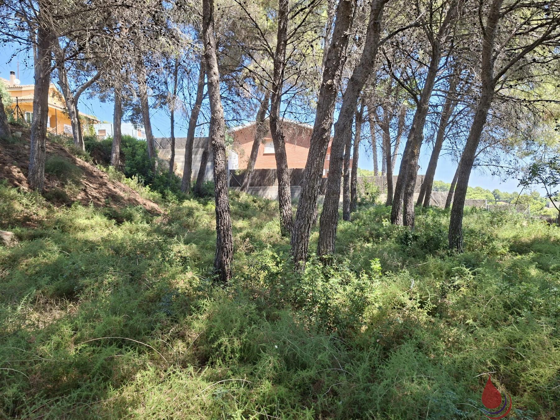 Venta de terreno en Coma - Ruga