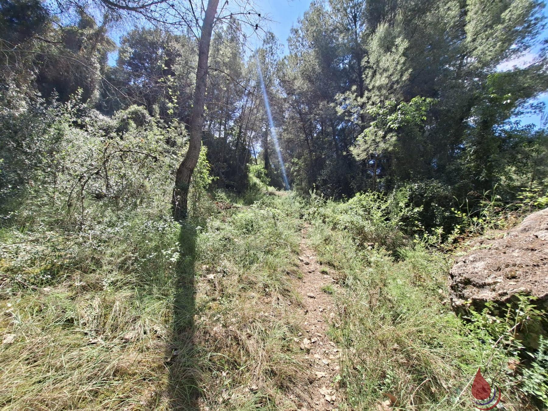 Venta de terreno en Sant Jaume dels Domenys