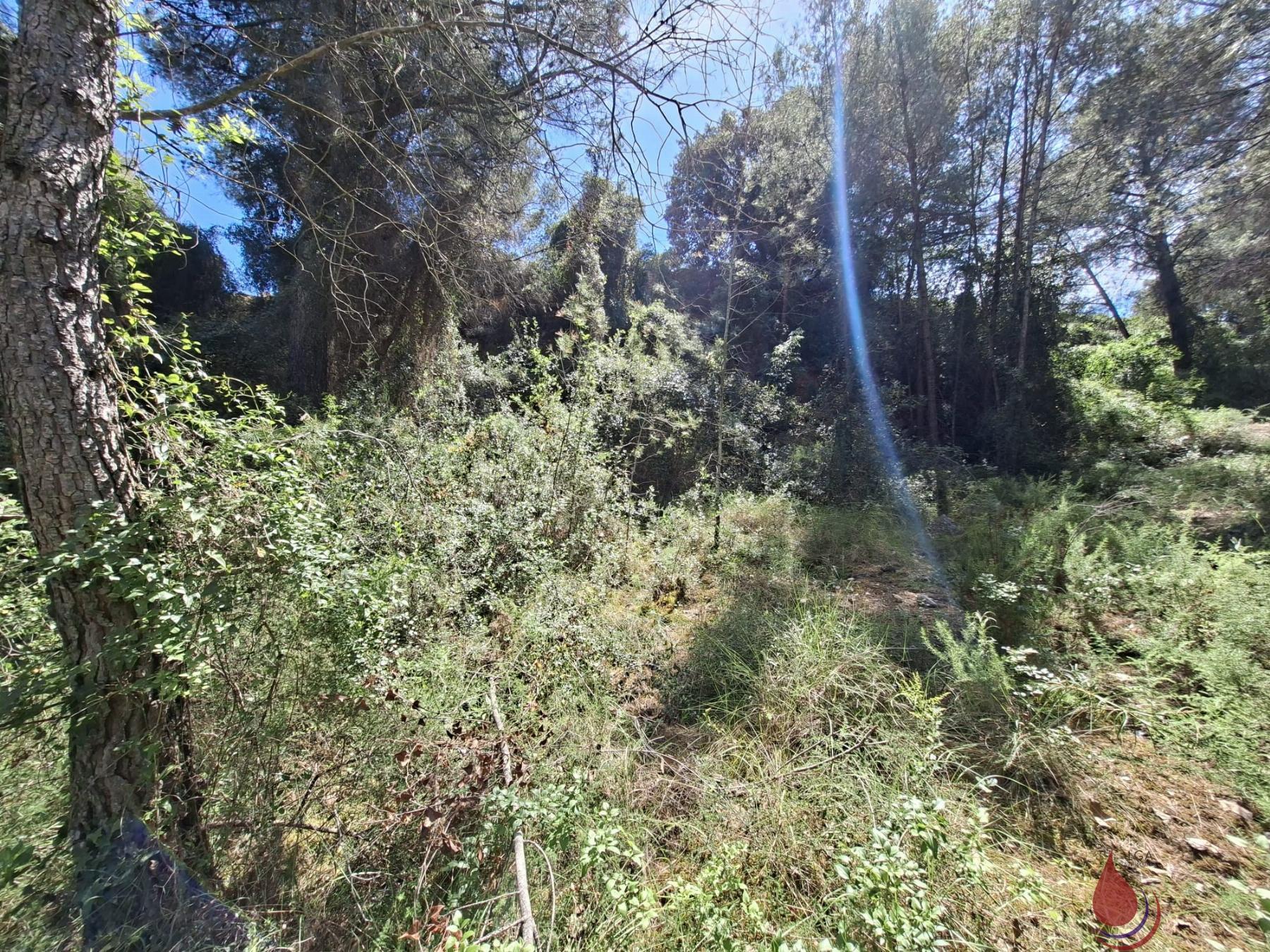 Venta de terreno en Sant Jaume dels Domenys