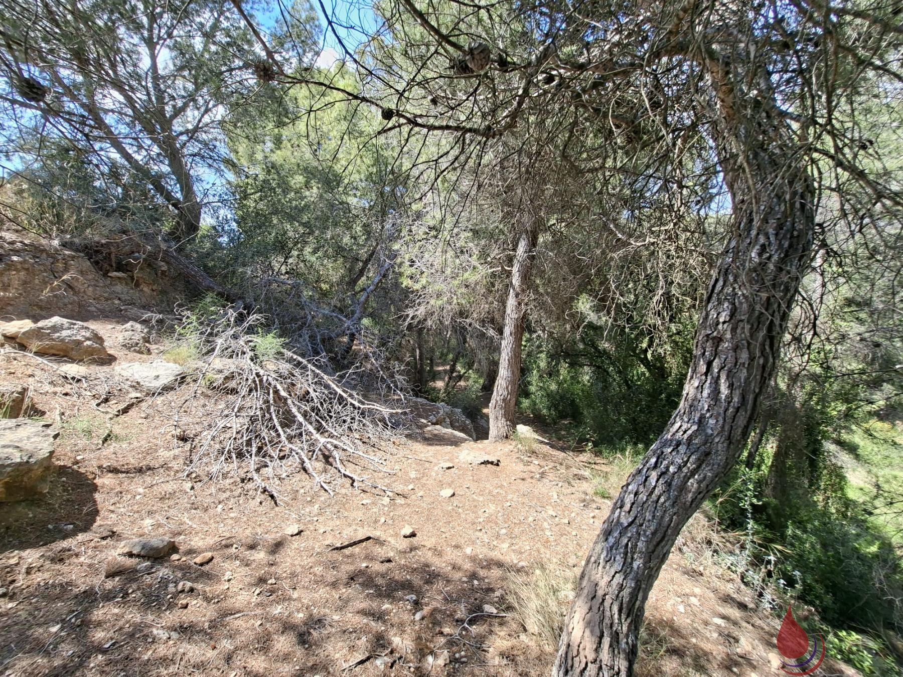 Venta de terreno en Sant Jaume dels Domenys