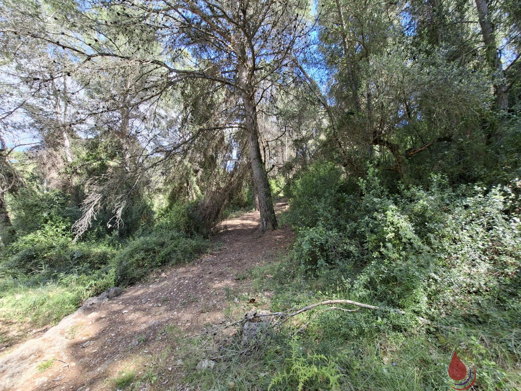 Venta de terreno en Sant Jaume dels Domenys