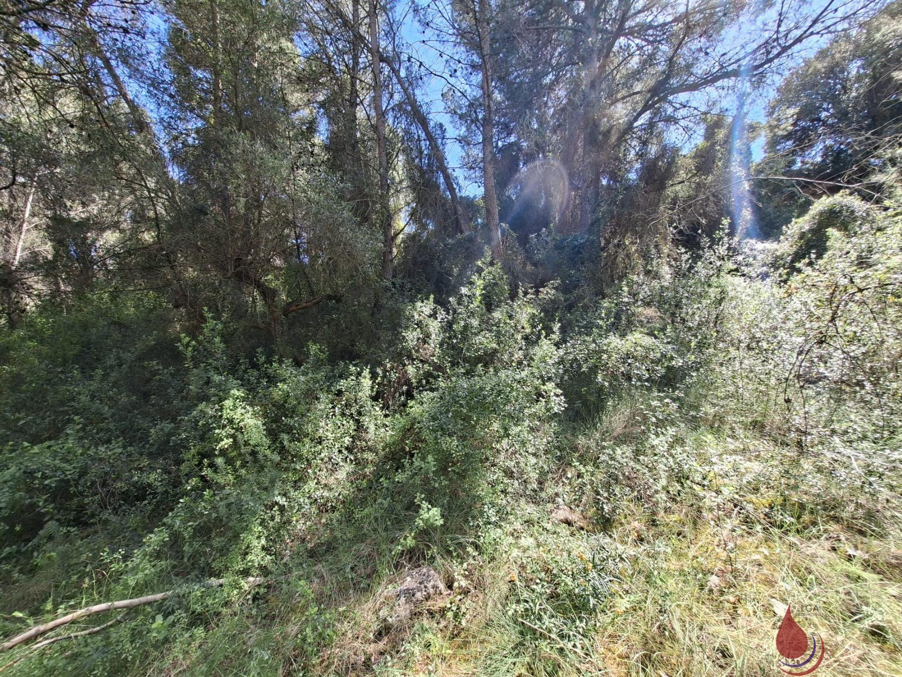 Venta de terreno en Sant Jaume dels Domenys
