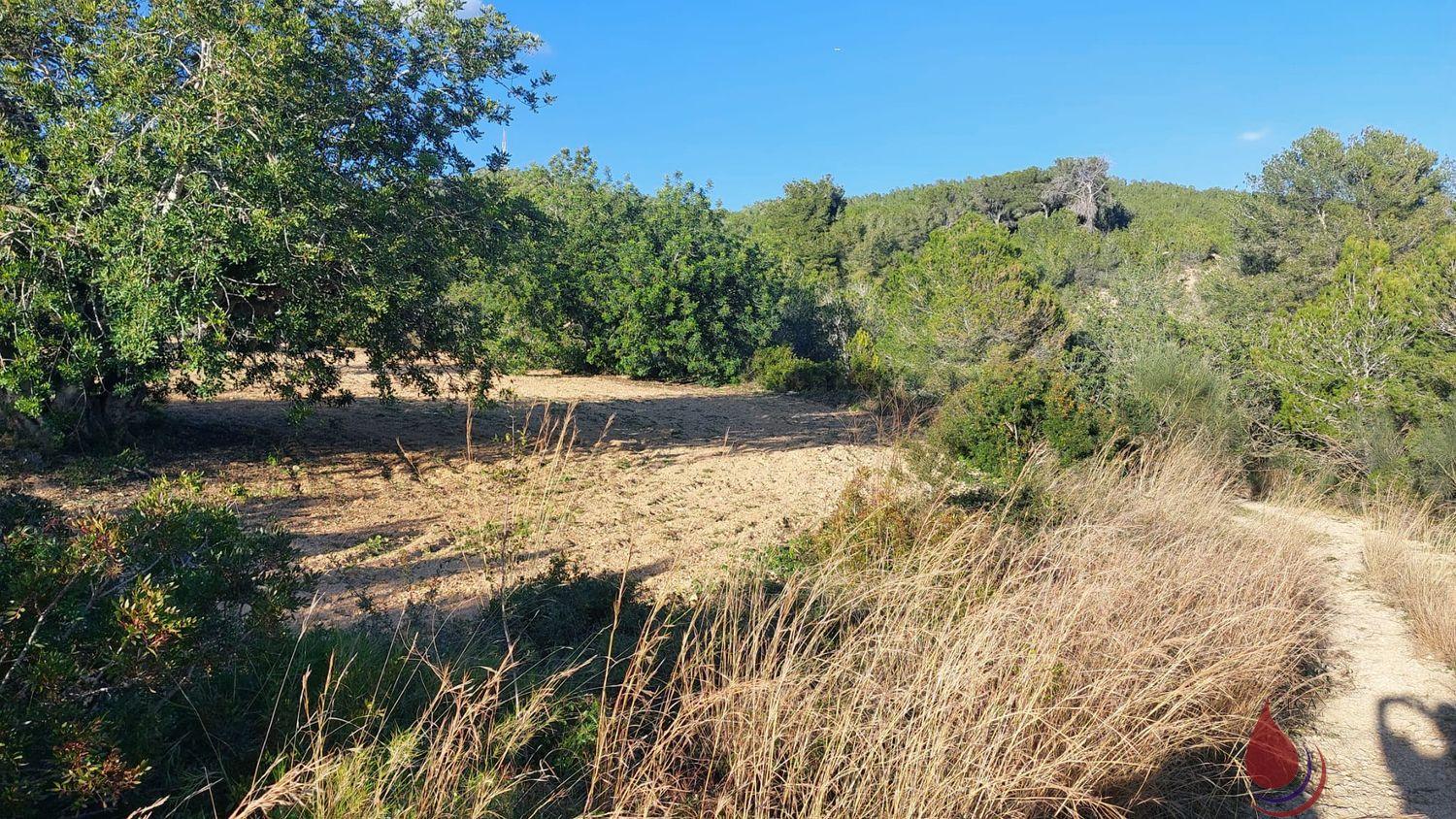 Venta de terreno en Bonastre Venta de terreno en Bonastre