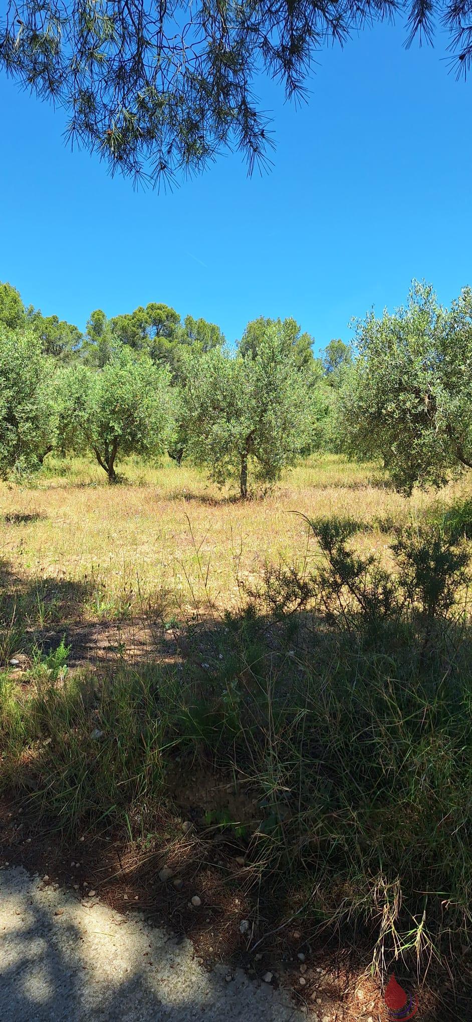 Venta de terreno en Vila-Rodona