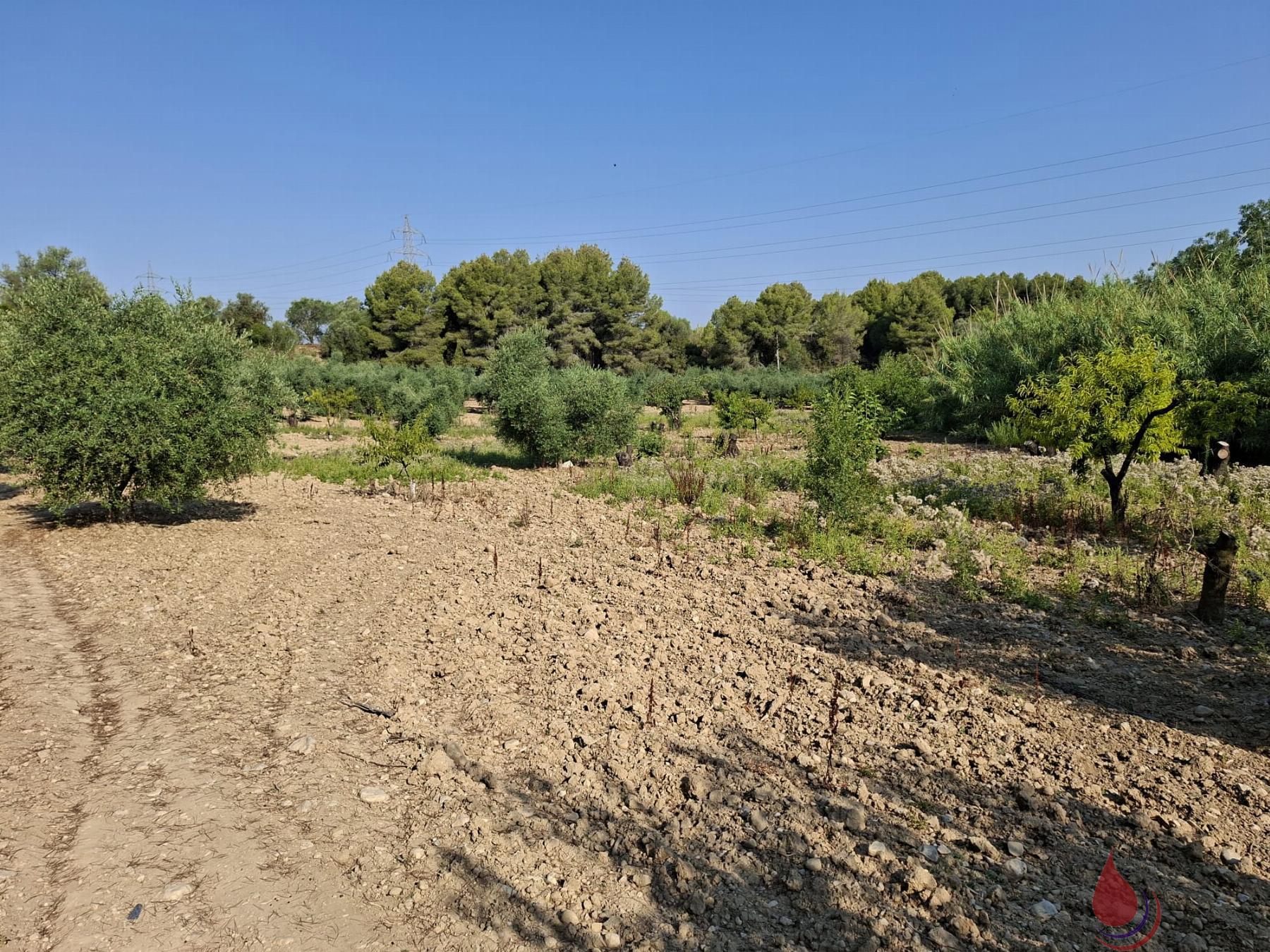 Venta de terreno en L´Arboç