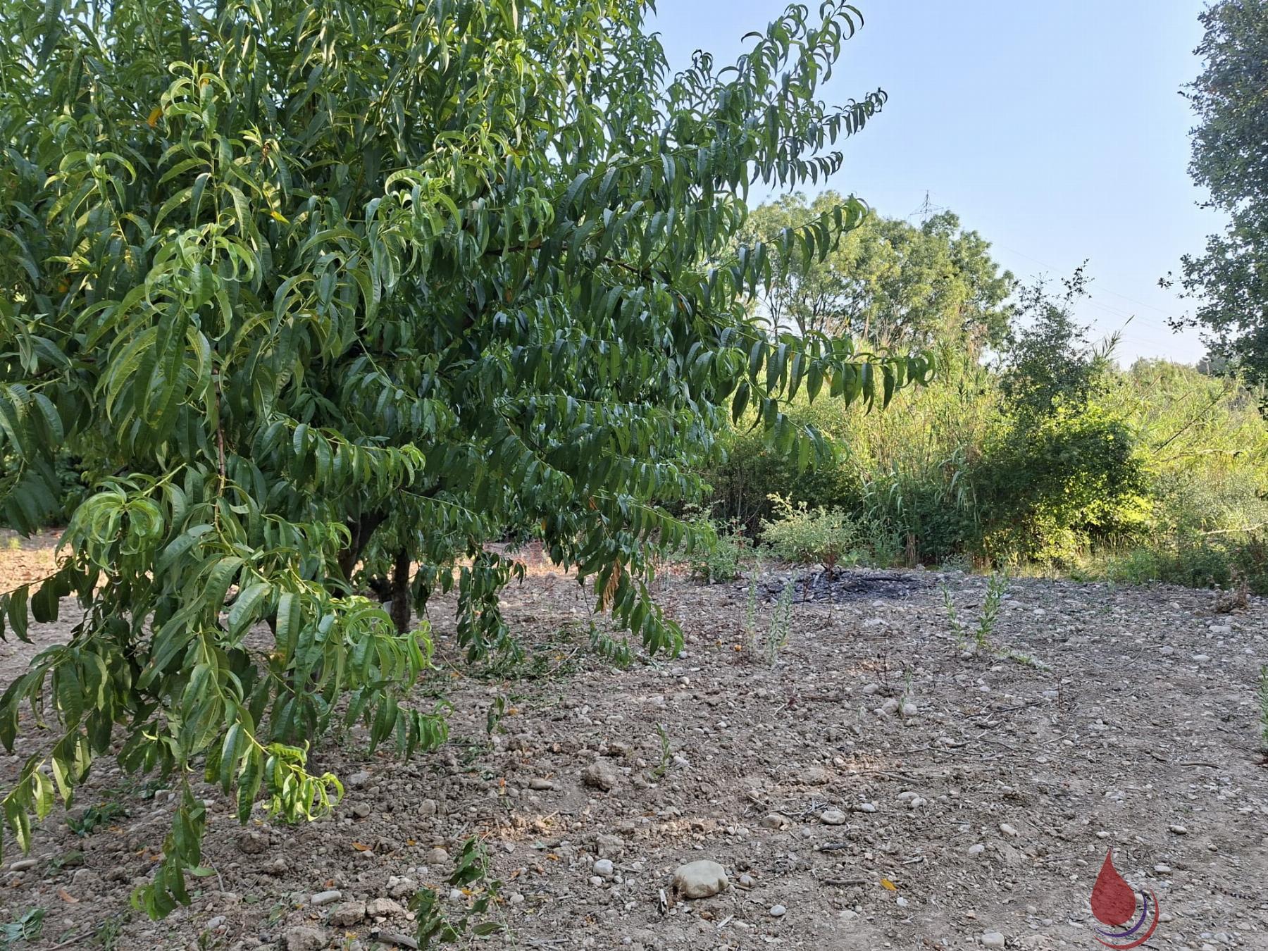 Venta de terreno en L´Arboç