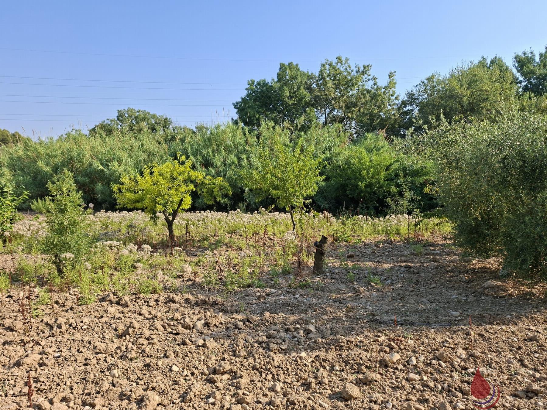 Venta de terreno en L´Arboç