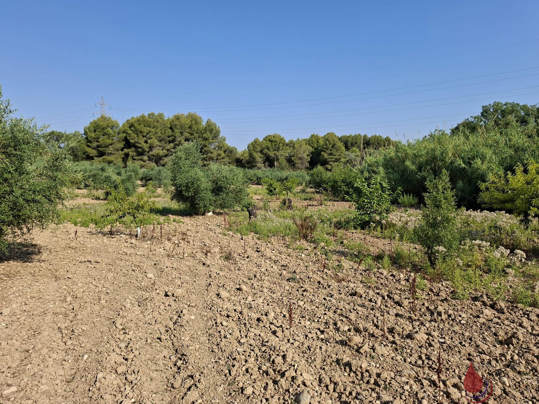 Venta de terreno en L´Arboç