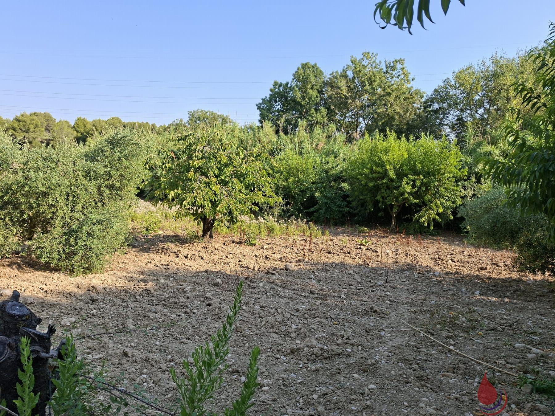Venta de terreno en L´Arboç