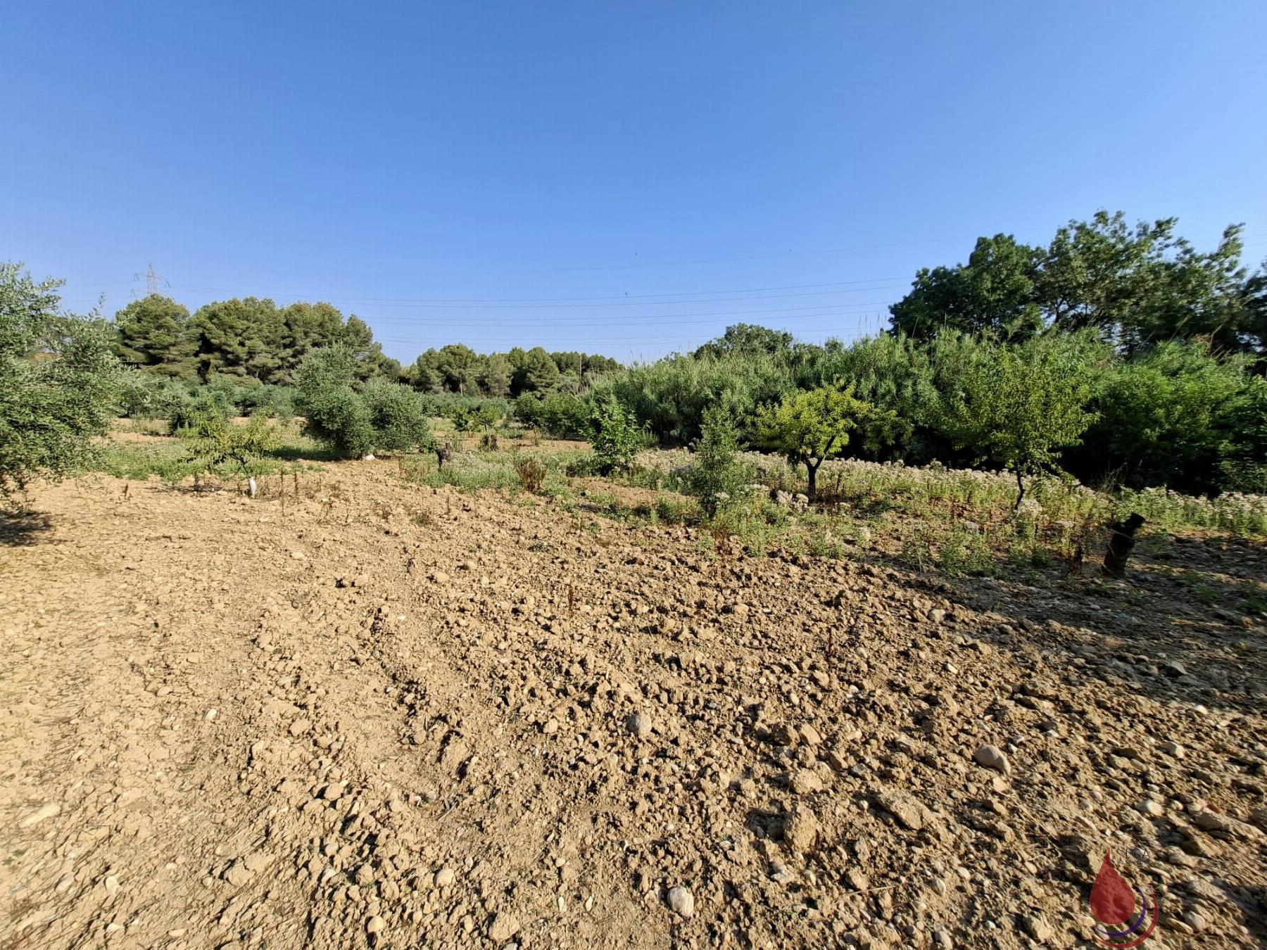 Venta de terreno en L´Arboç