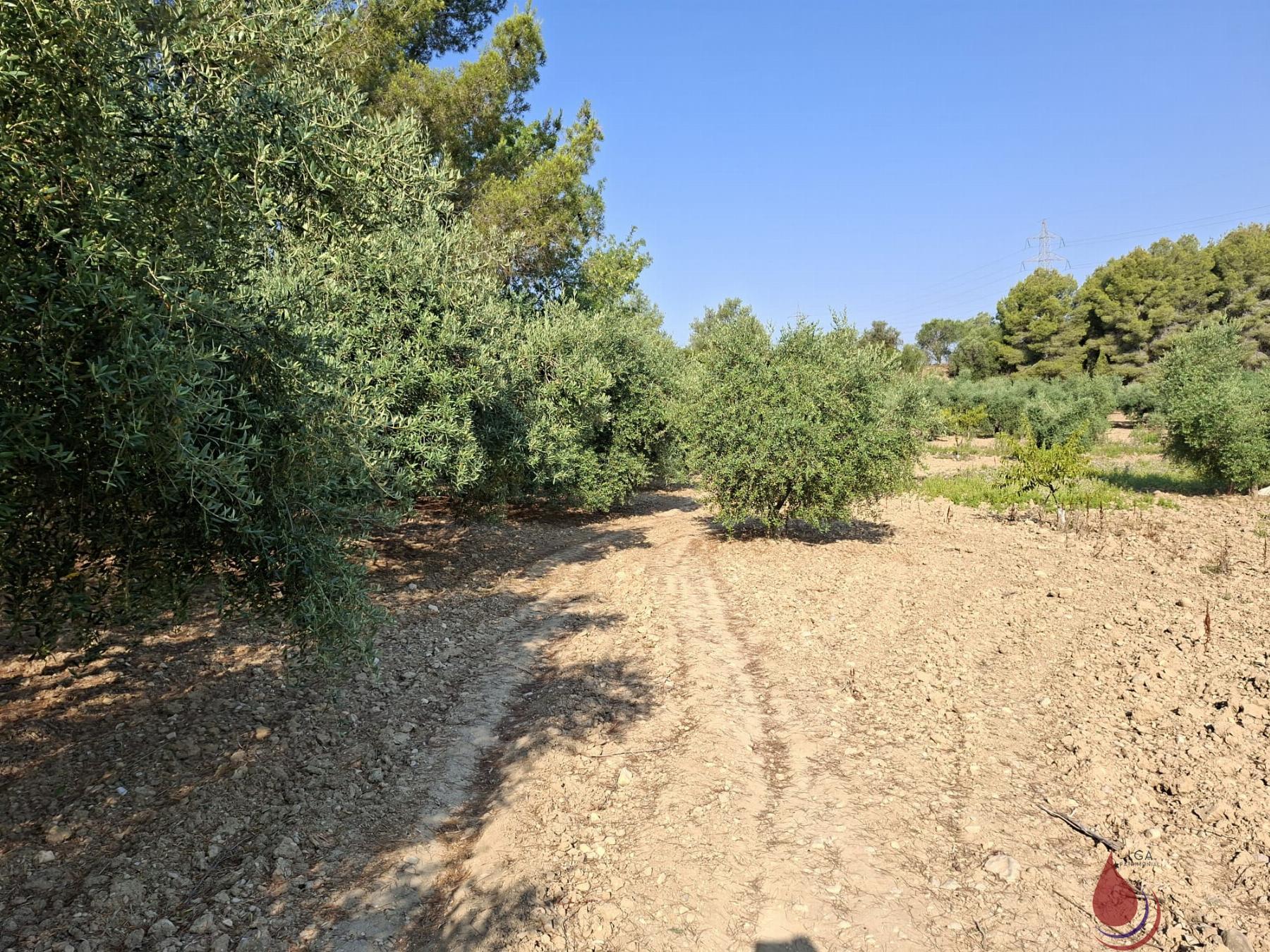 Venta de terreno en L´Arboç