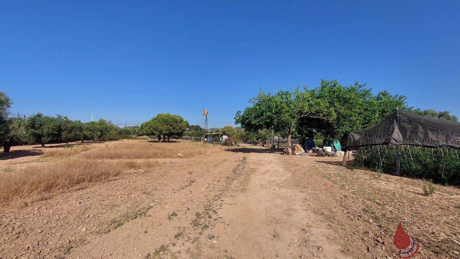 Venta de terreno en Coma - Ruga