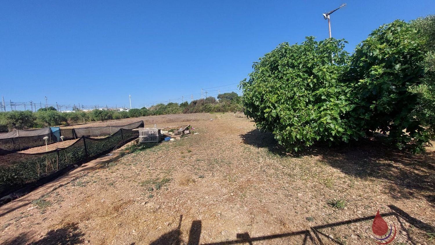 Venta de terreno en Coma - Ruga