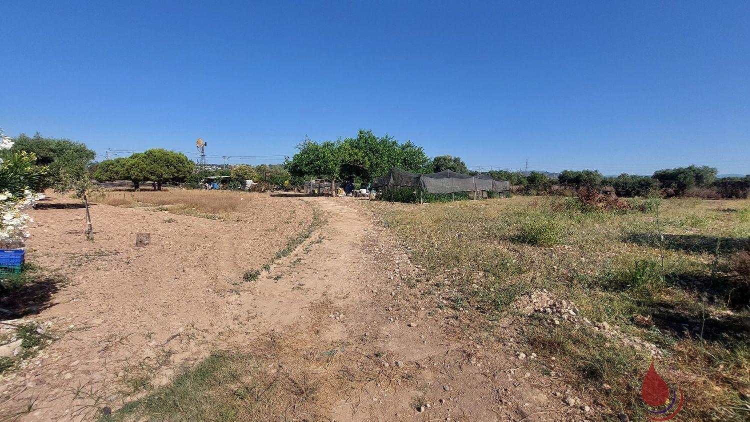 Venta de terreno en Coma - Ruga Venta de terreno en Coma - Ruga