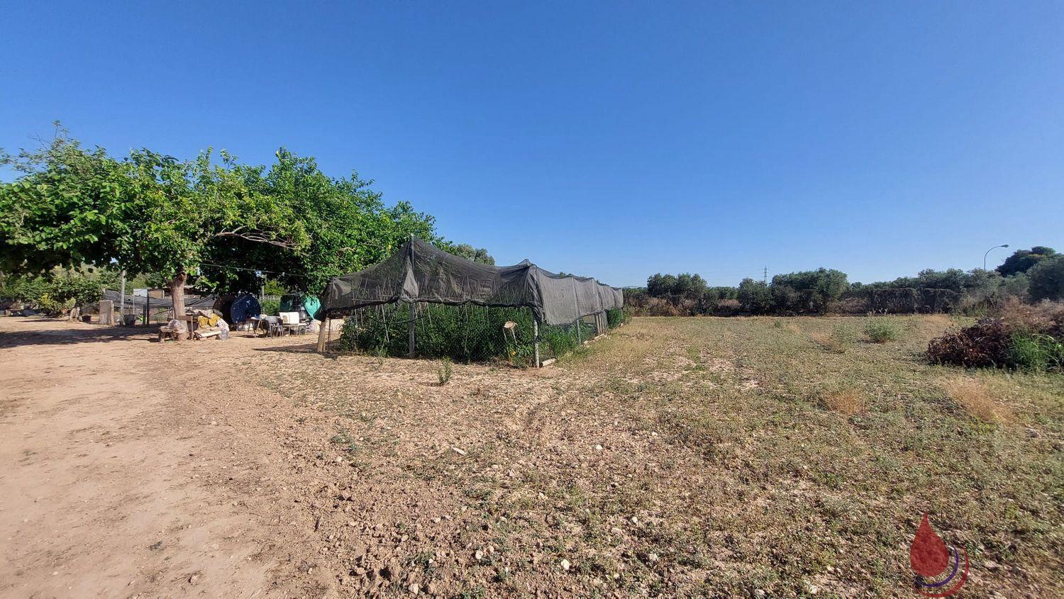 Venta de terreno en Coma - Ruga