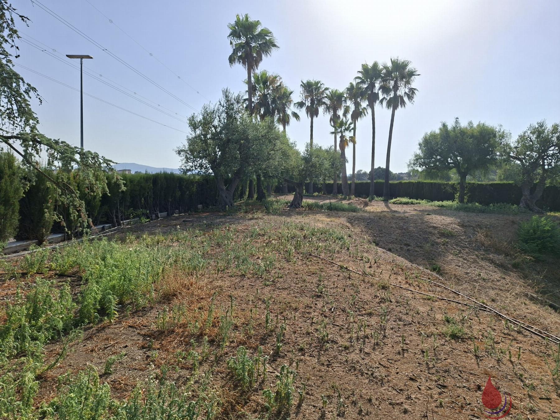 Venta de terreno en Llorenç del Penedès