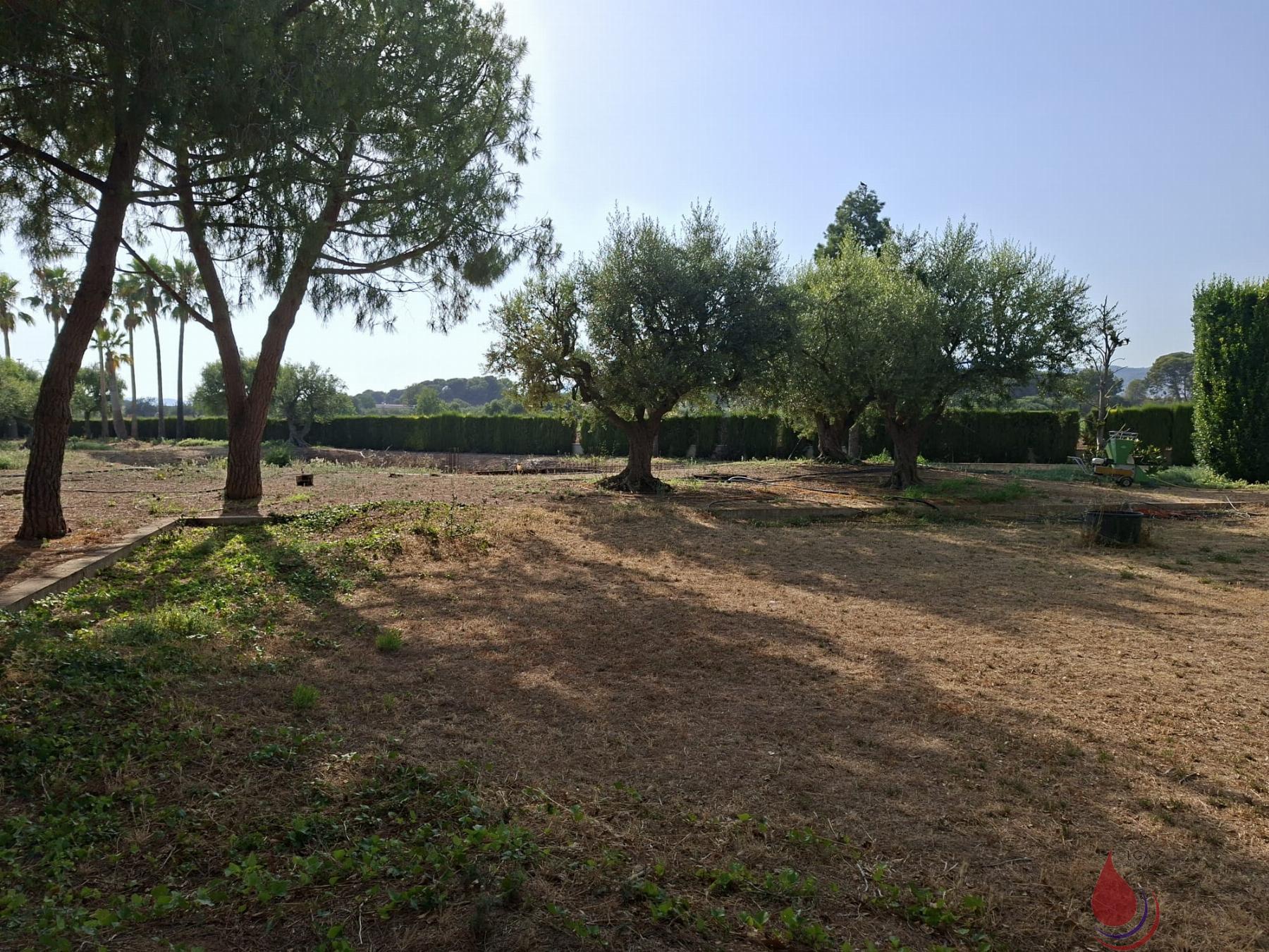 Venta de terreno en Llorenç del Penedès