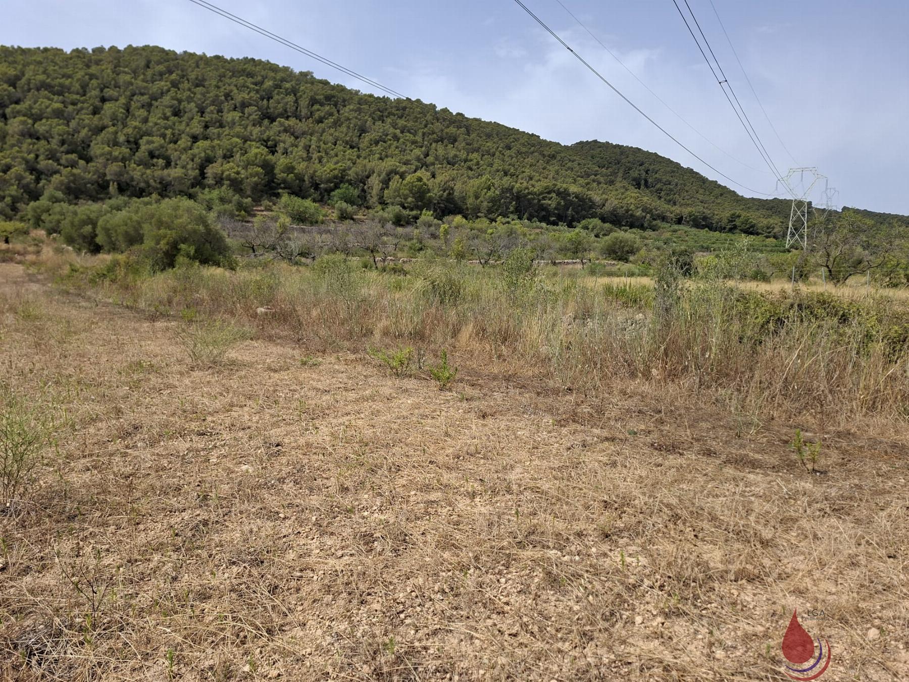Venta de terreno en Albinyana