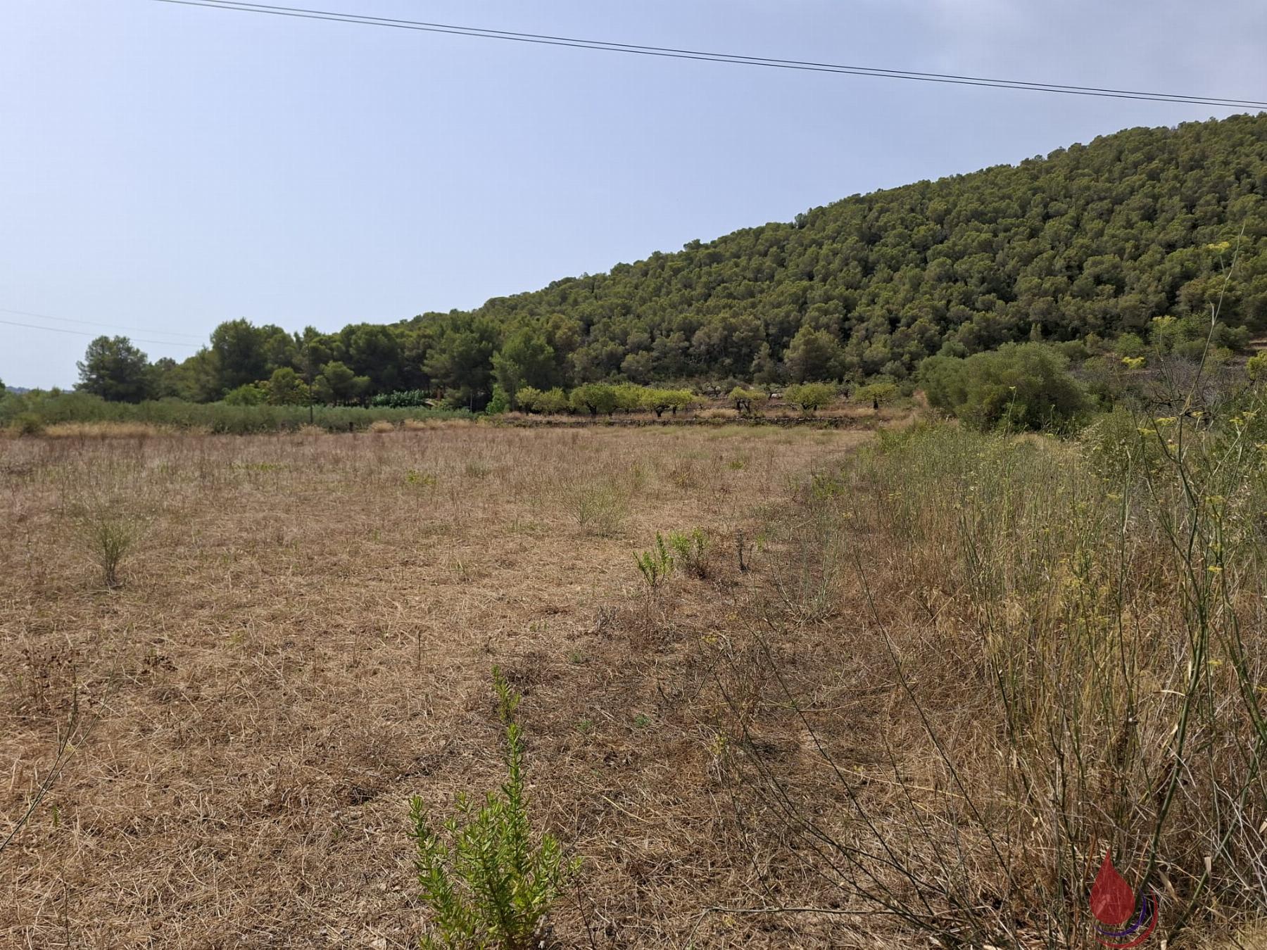 Venta de terreno en Albinyana