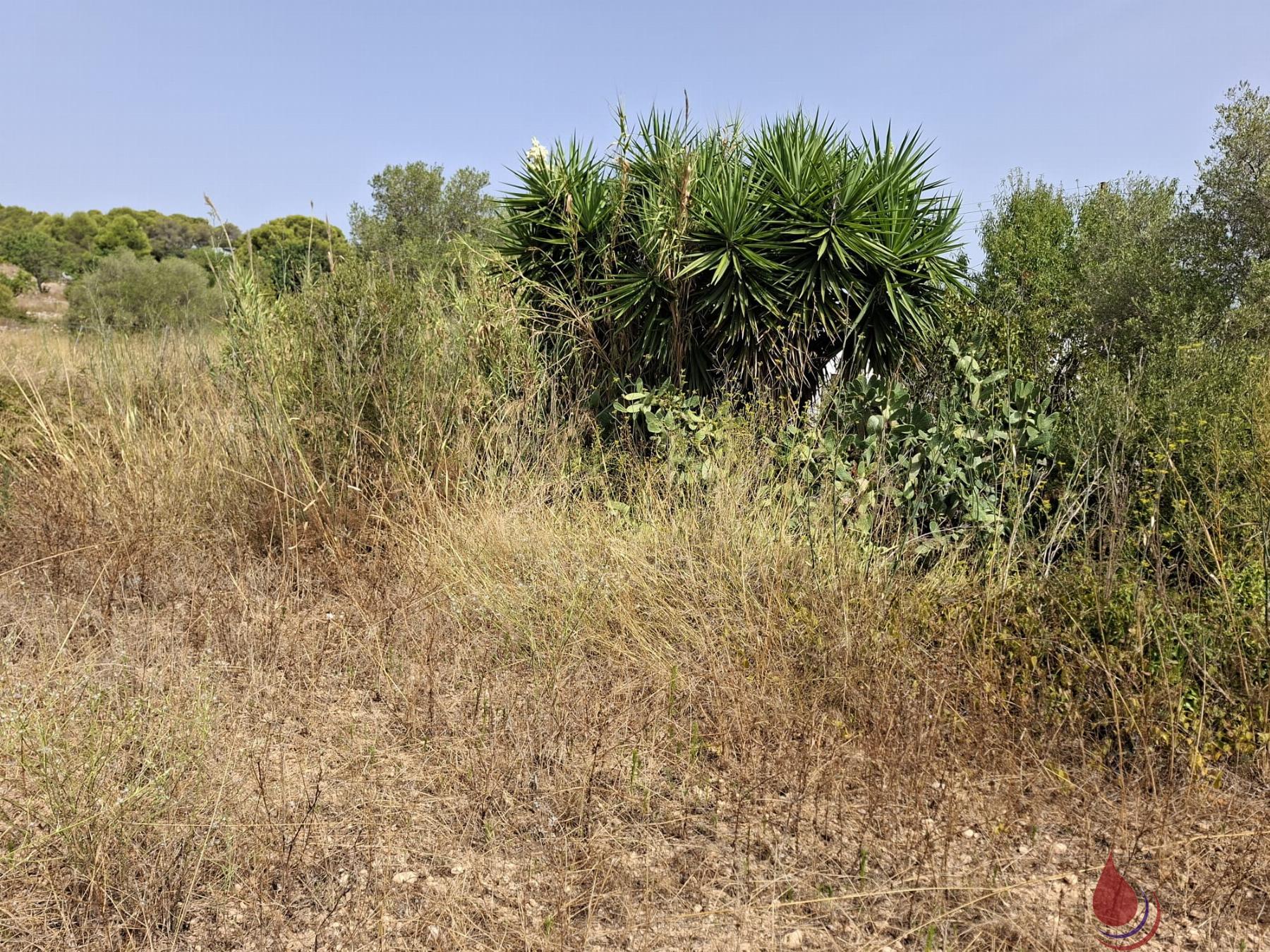 Venta de terreno en Albinyana