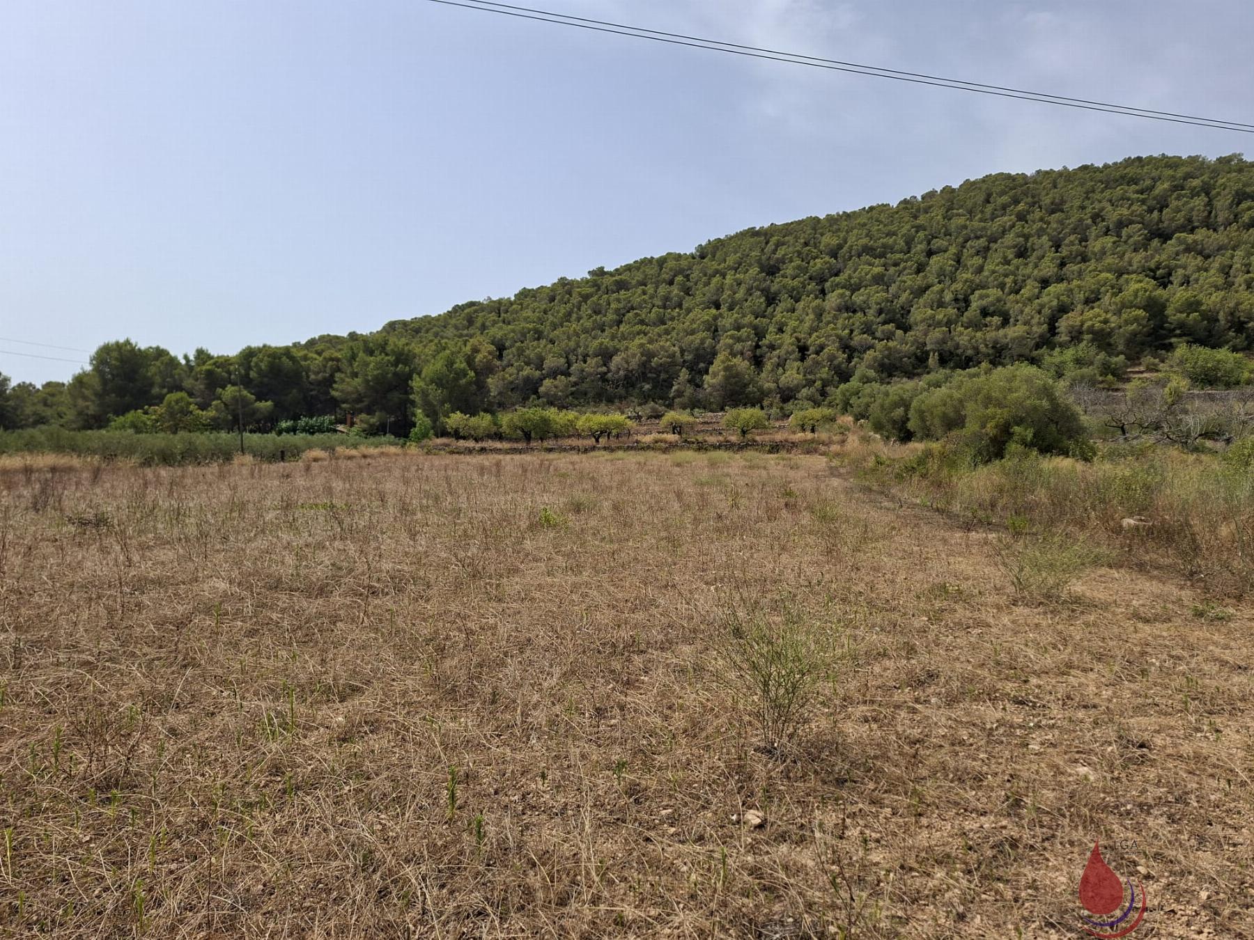 Venta de terreno en Albinyana