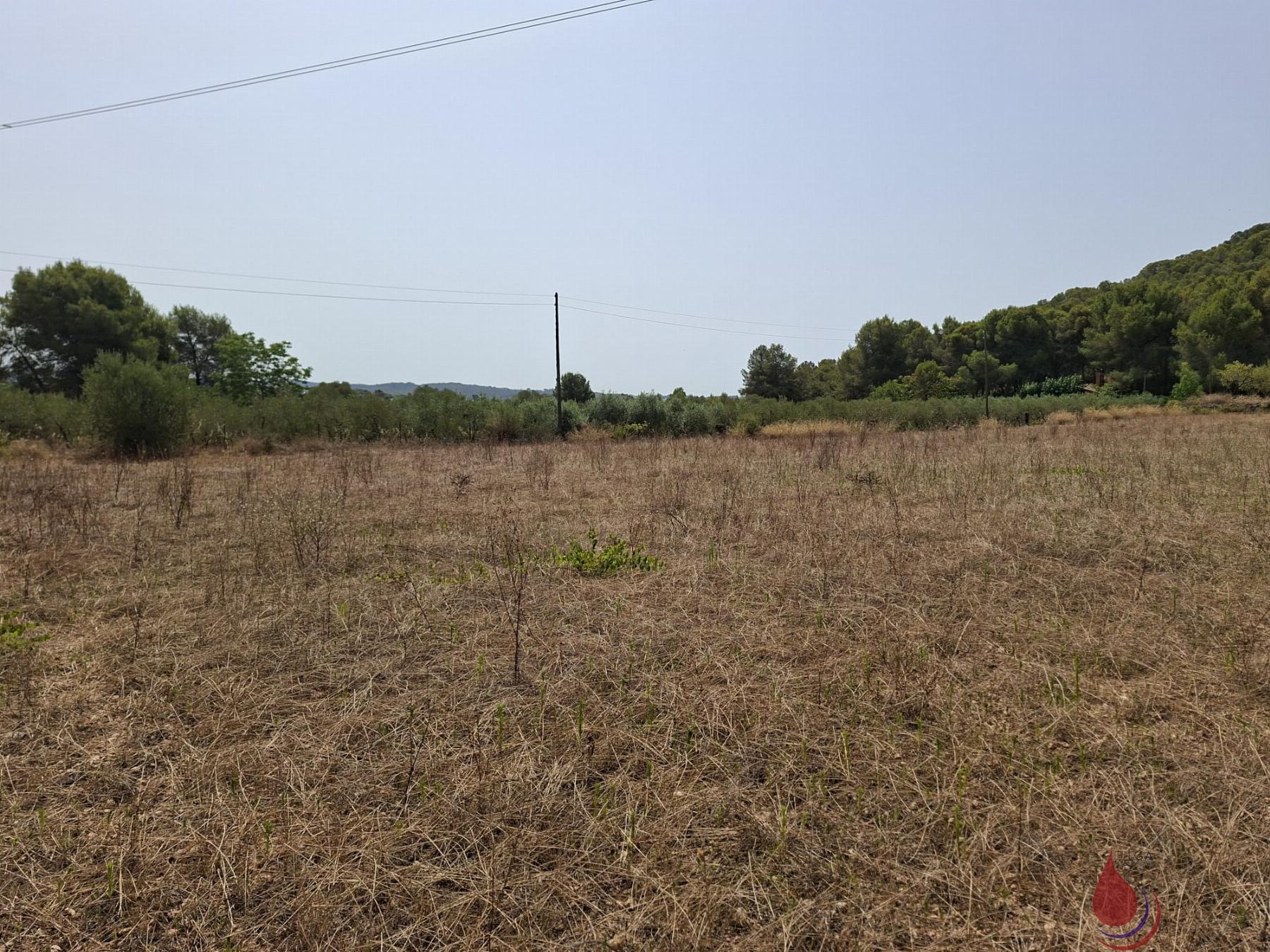 Venta de terreno en Albinyana