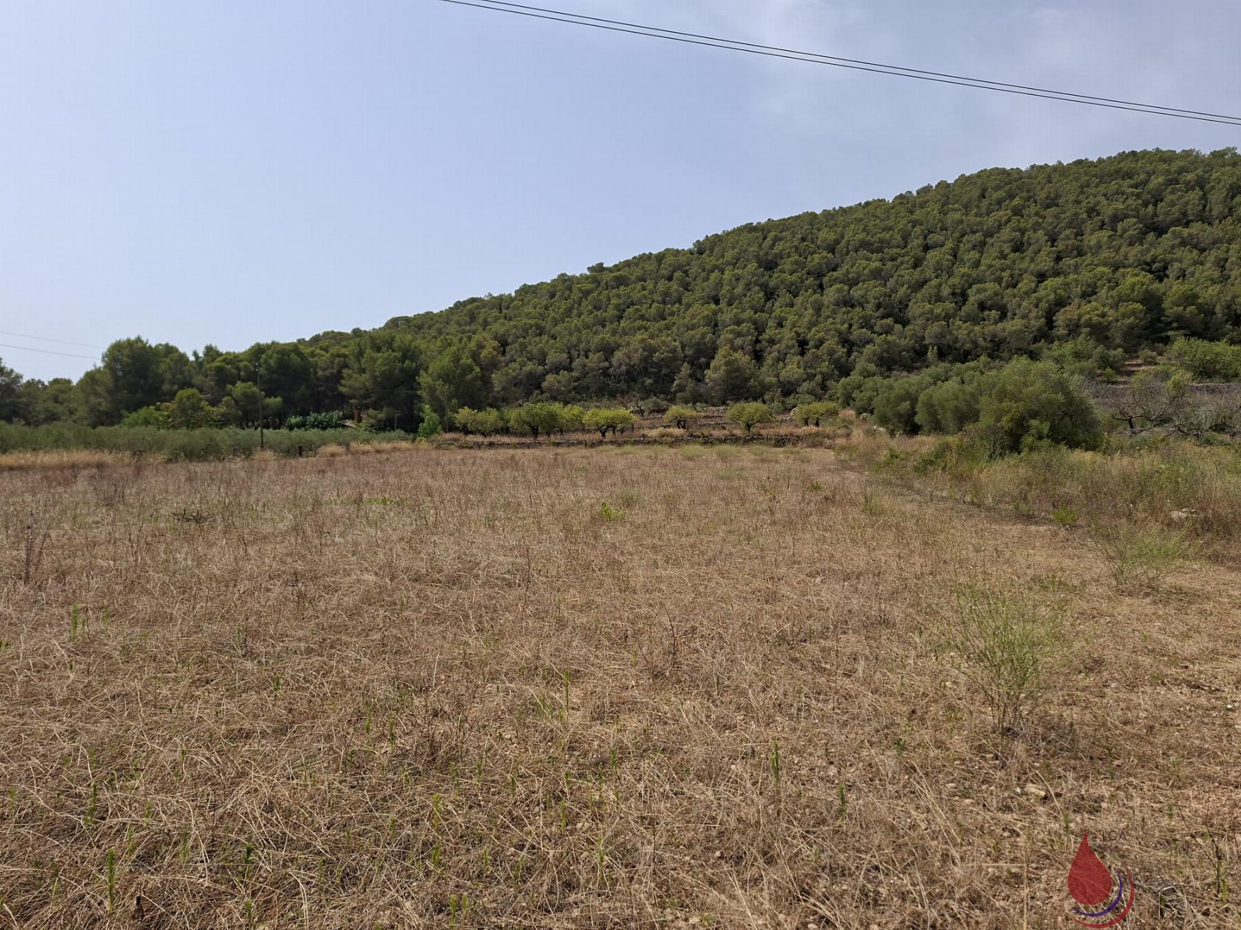 Venta de terreno en Albinyana