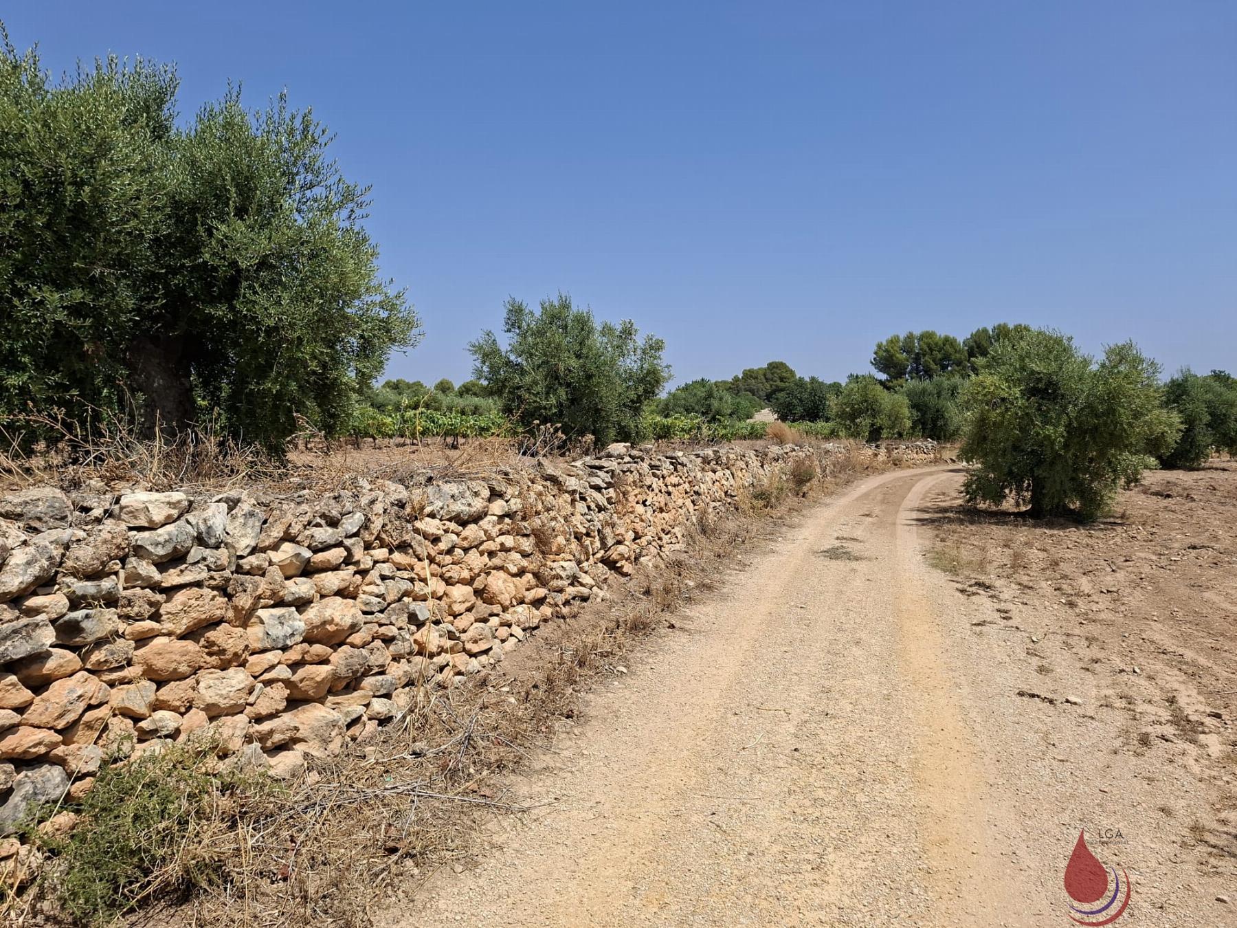 Venta de terreno en Coma - Ruga