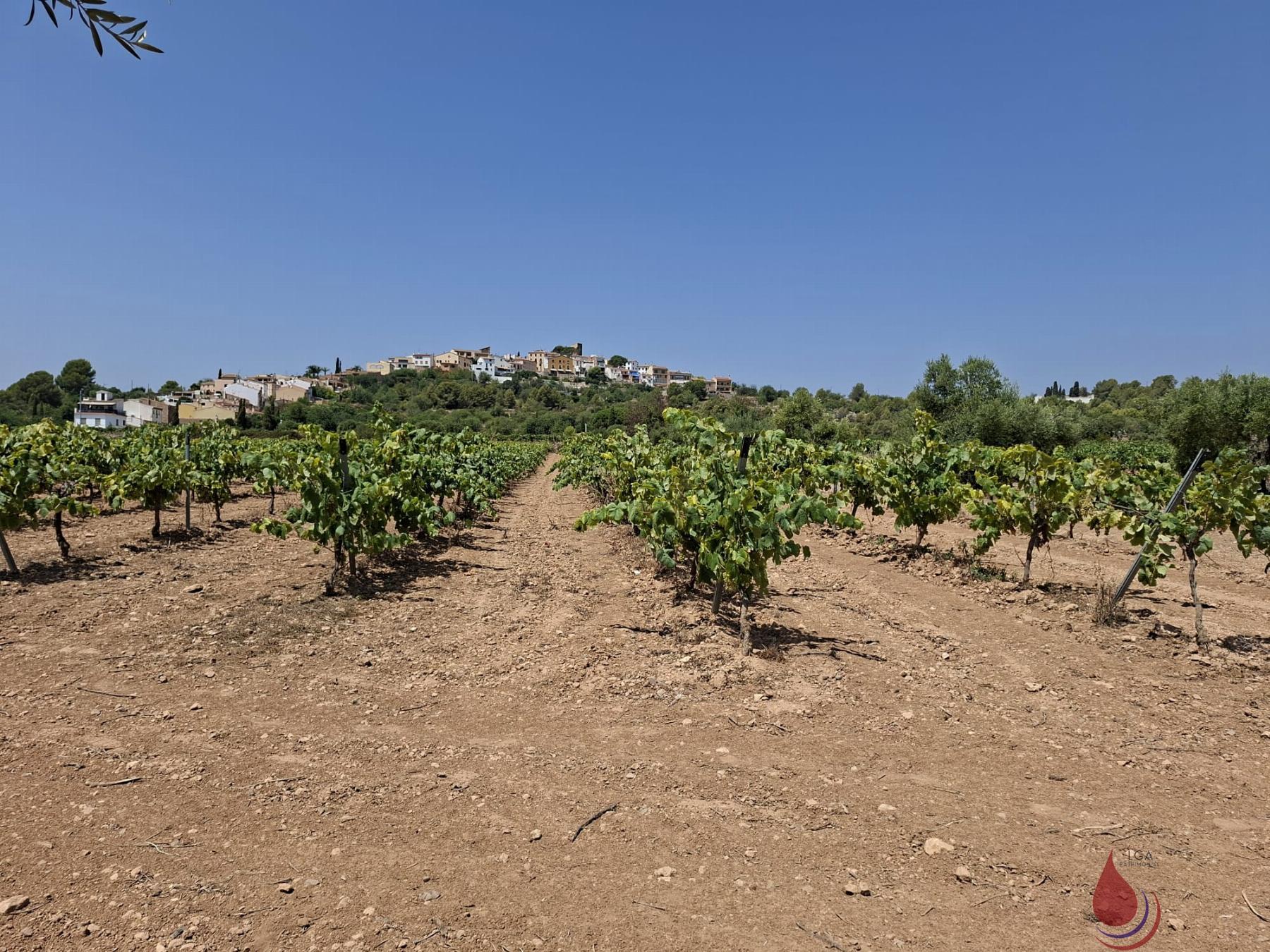 Venta de terreno en Coma - Ruga