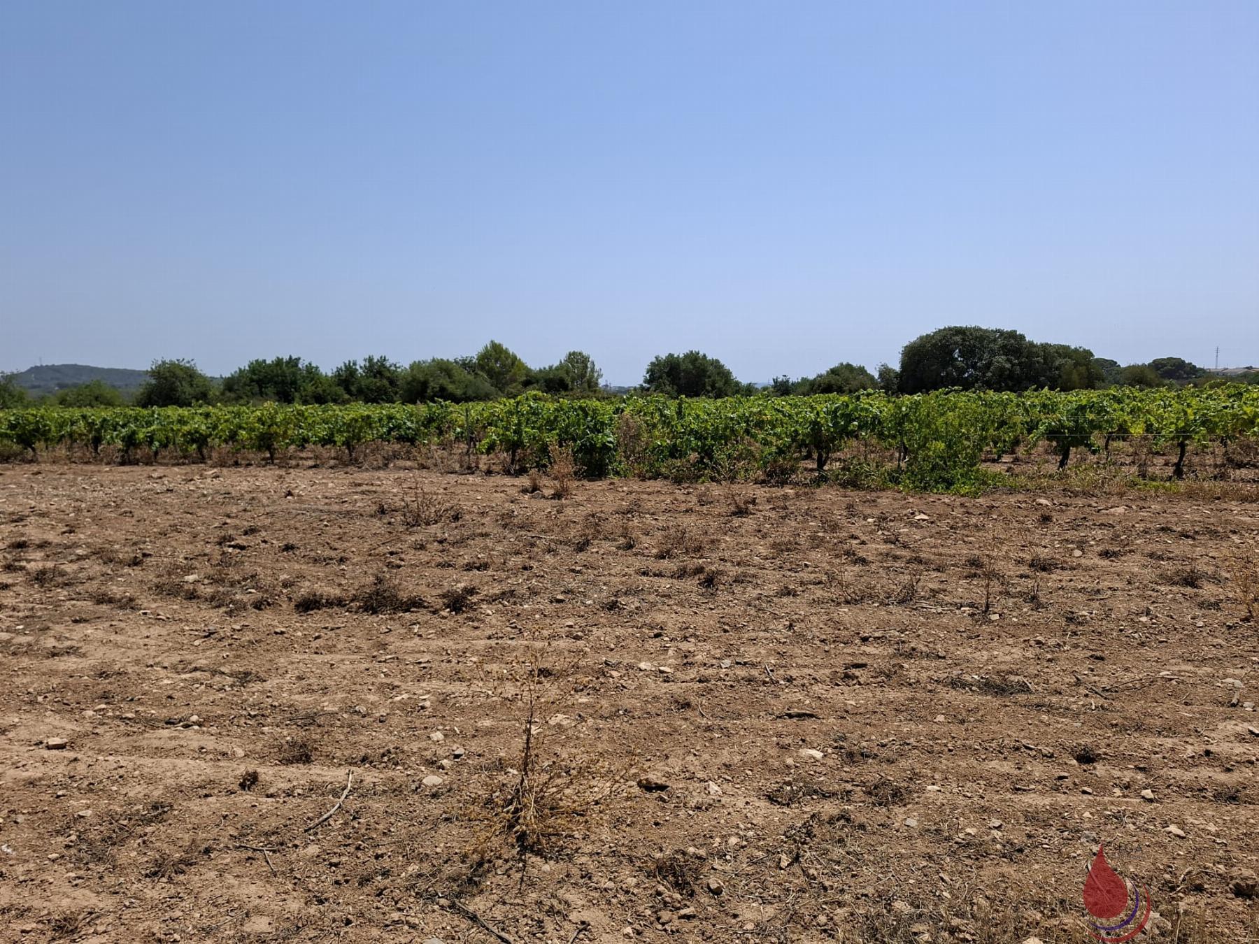 Venta de terreno en Coma - Ruga